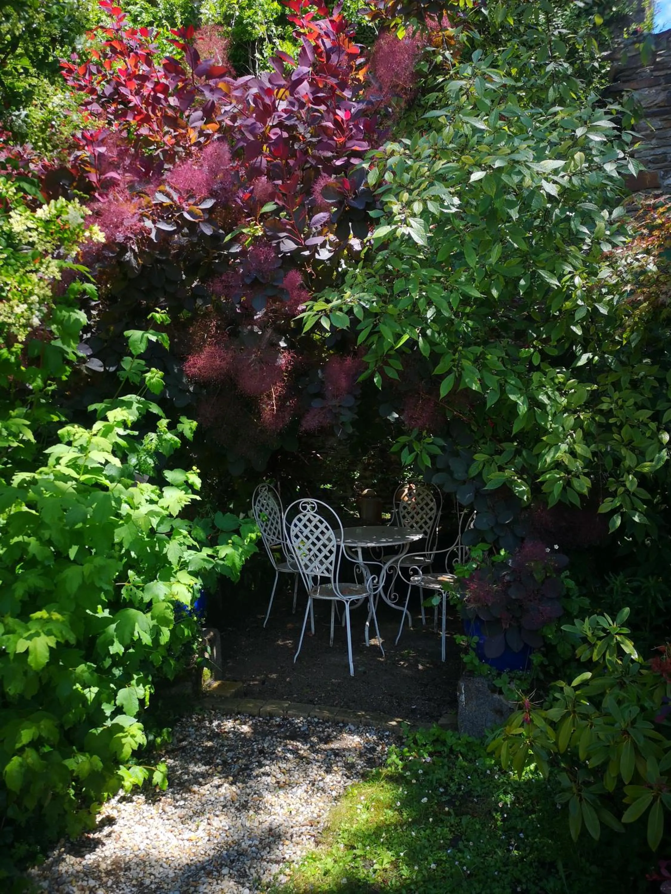 Garden in Hôtel Victor Hugo