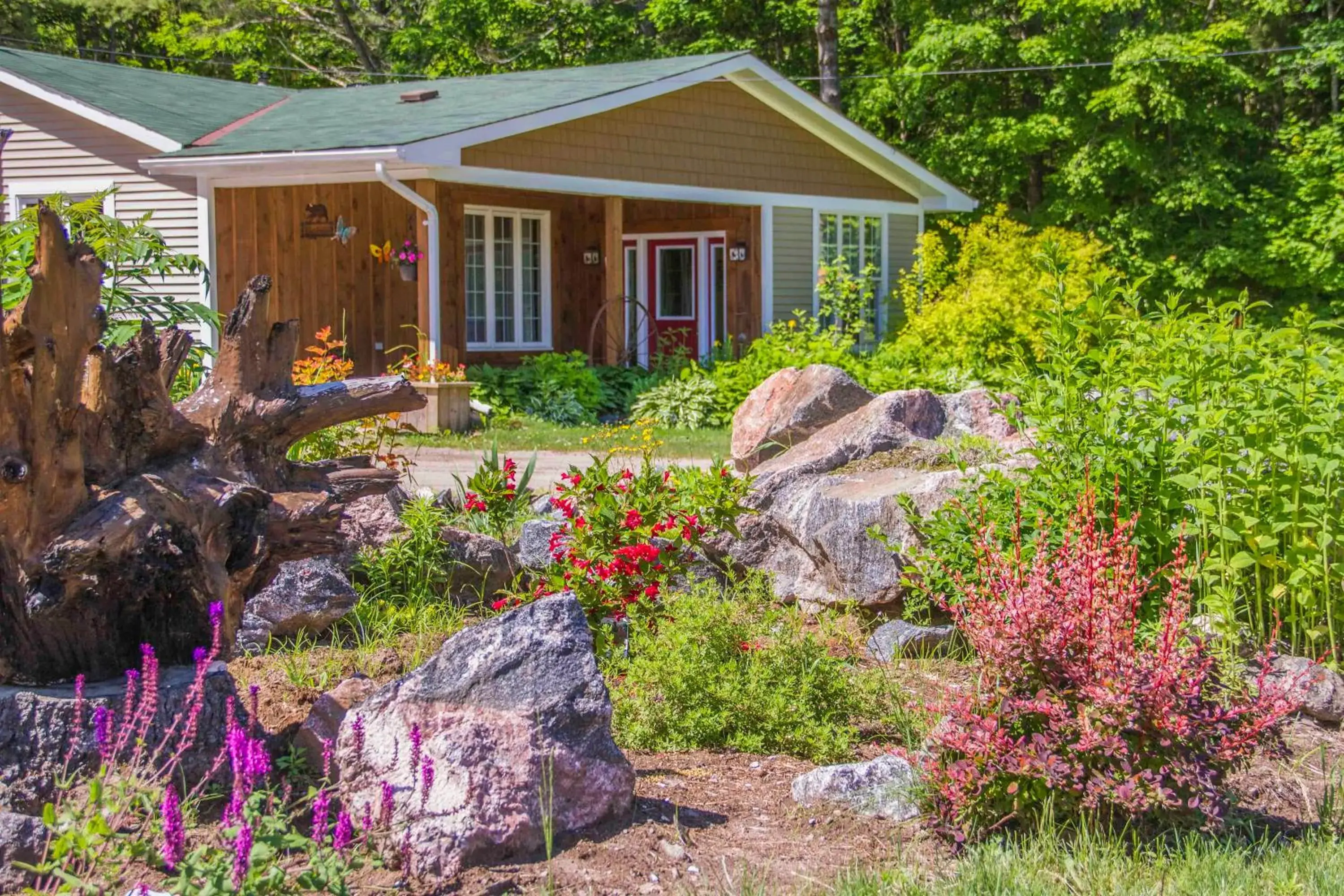 Bear & Butterfly Bed and Breakfast Bear & Butterfly Bed and Breakfast