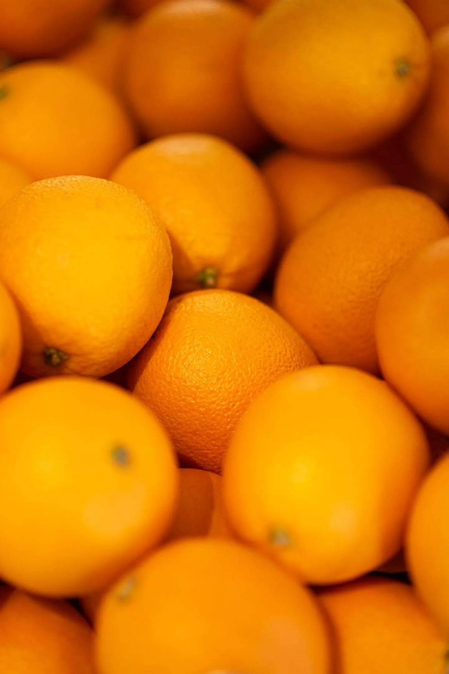 Food and drinks in Logis Hôtel Domaine du Moulin Cavier - Restaurants & Spa