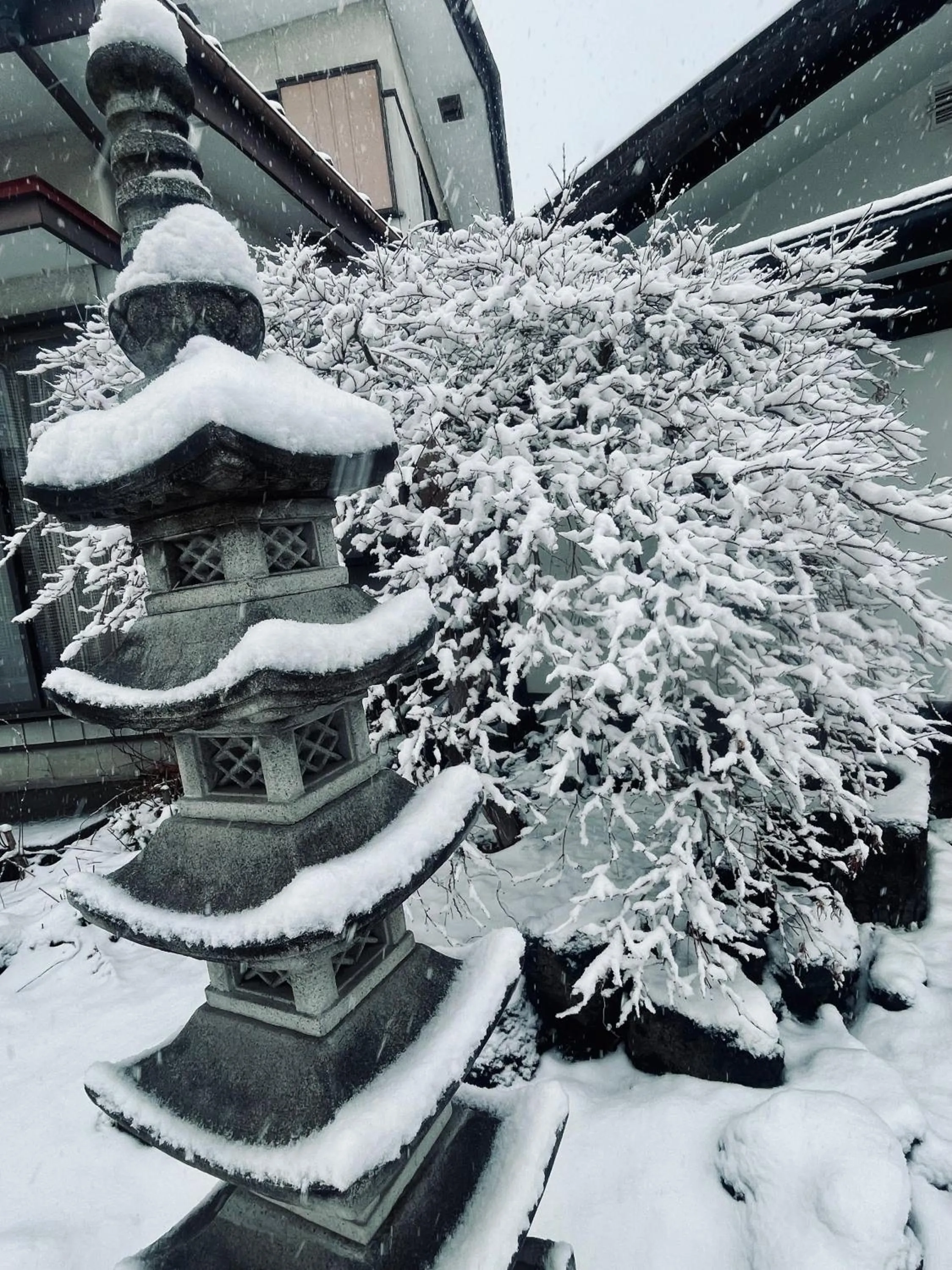 Hostel SAMURISE KURA