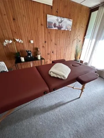 Massage in Logis Hôtel restaurant Horizon 117