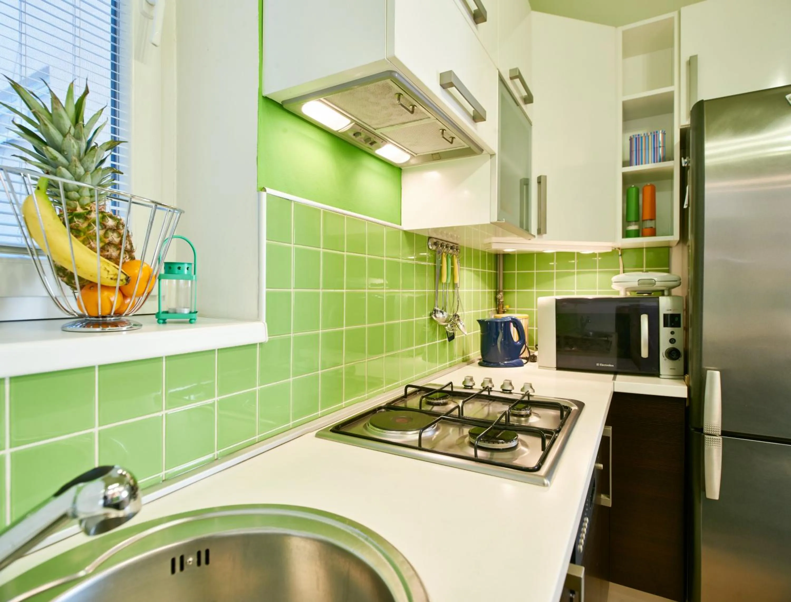 Kitchen or kitchenette in Studio Apartment Green Wall