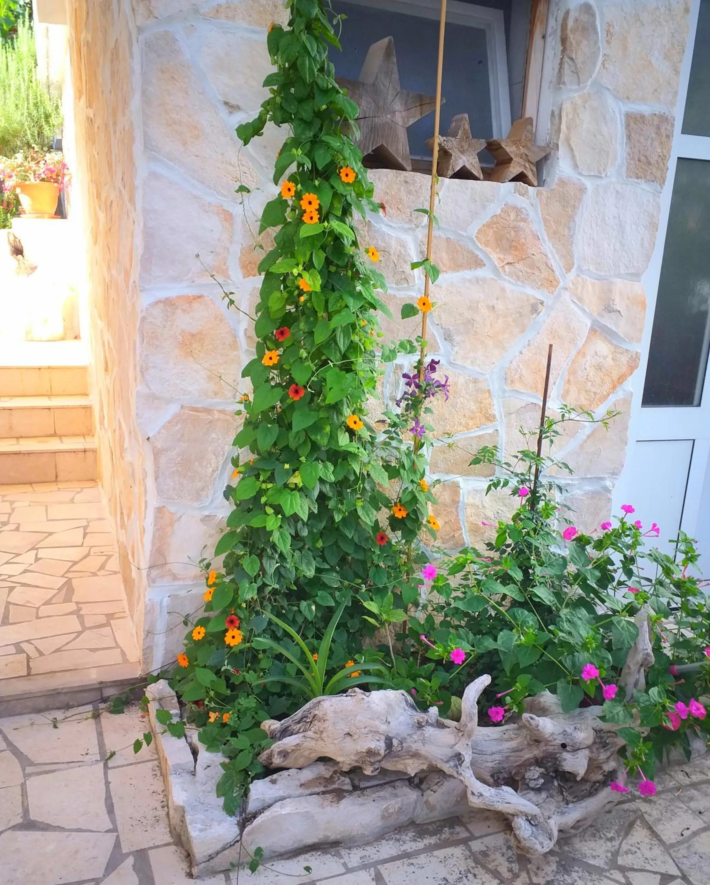 Garden in Apartment Kuca Merdzo