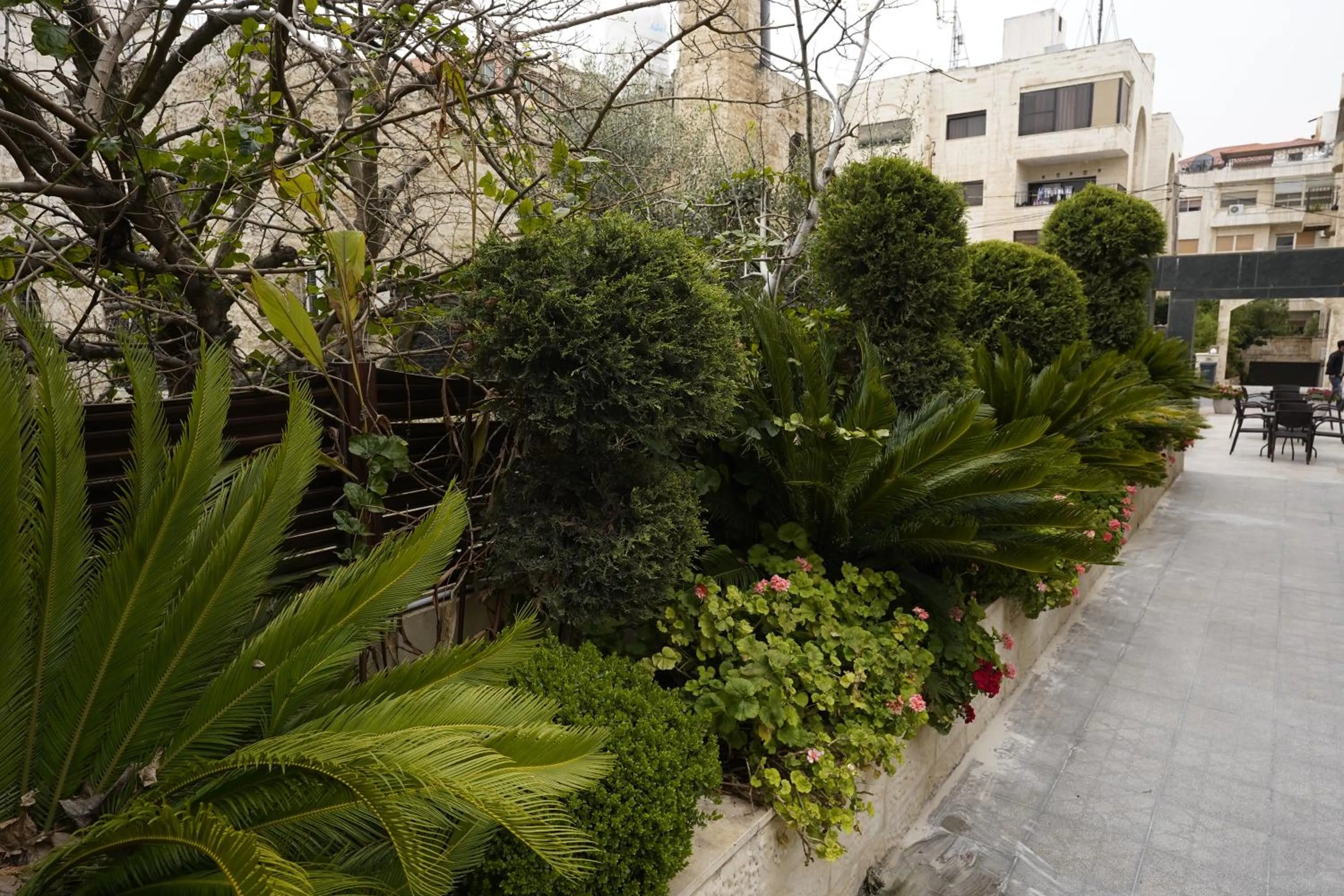 Garden in Naylover Hotel Suites
