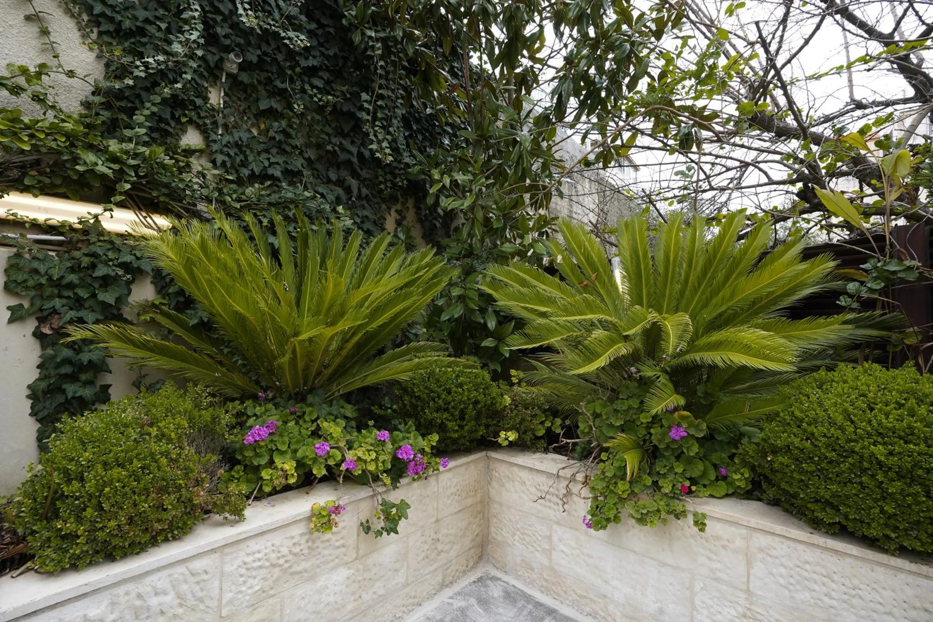 Garden in Naylover Hotel Suites