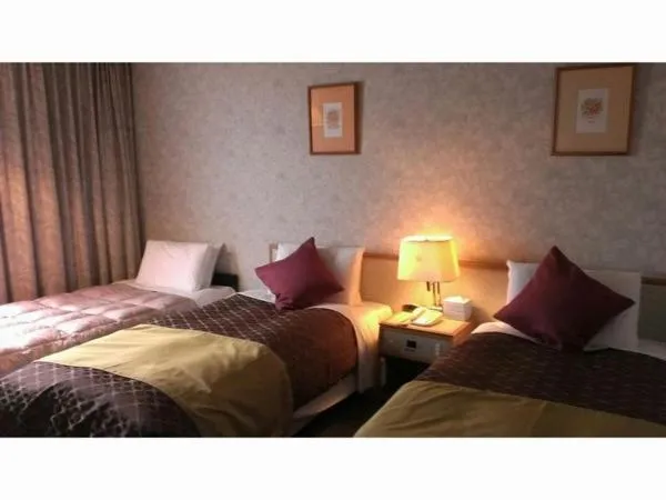 Bed in Sky Hotel Uozu