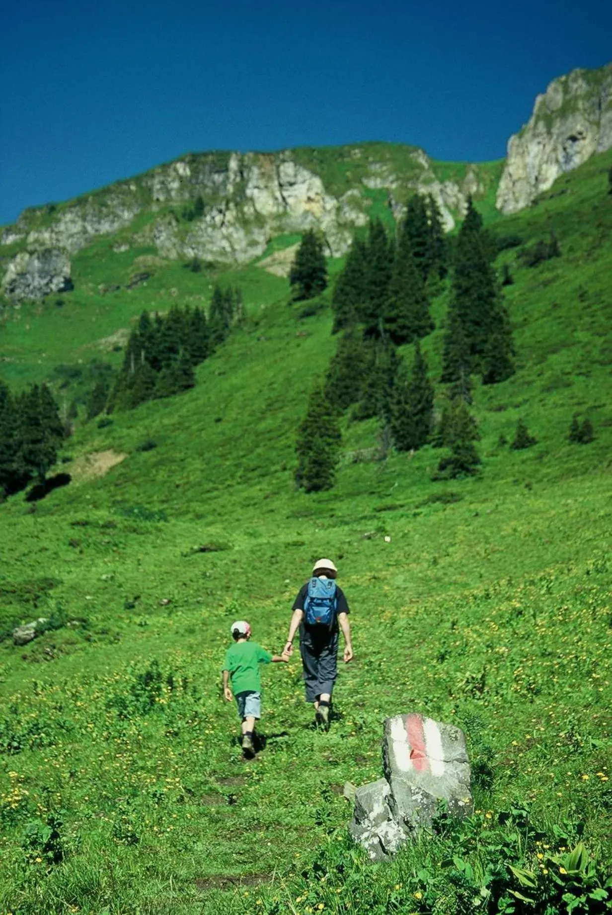 Hiking in Berghotel Schonhalden