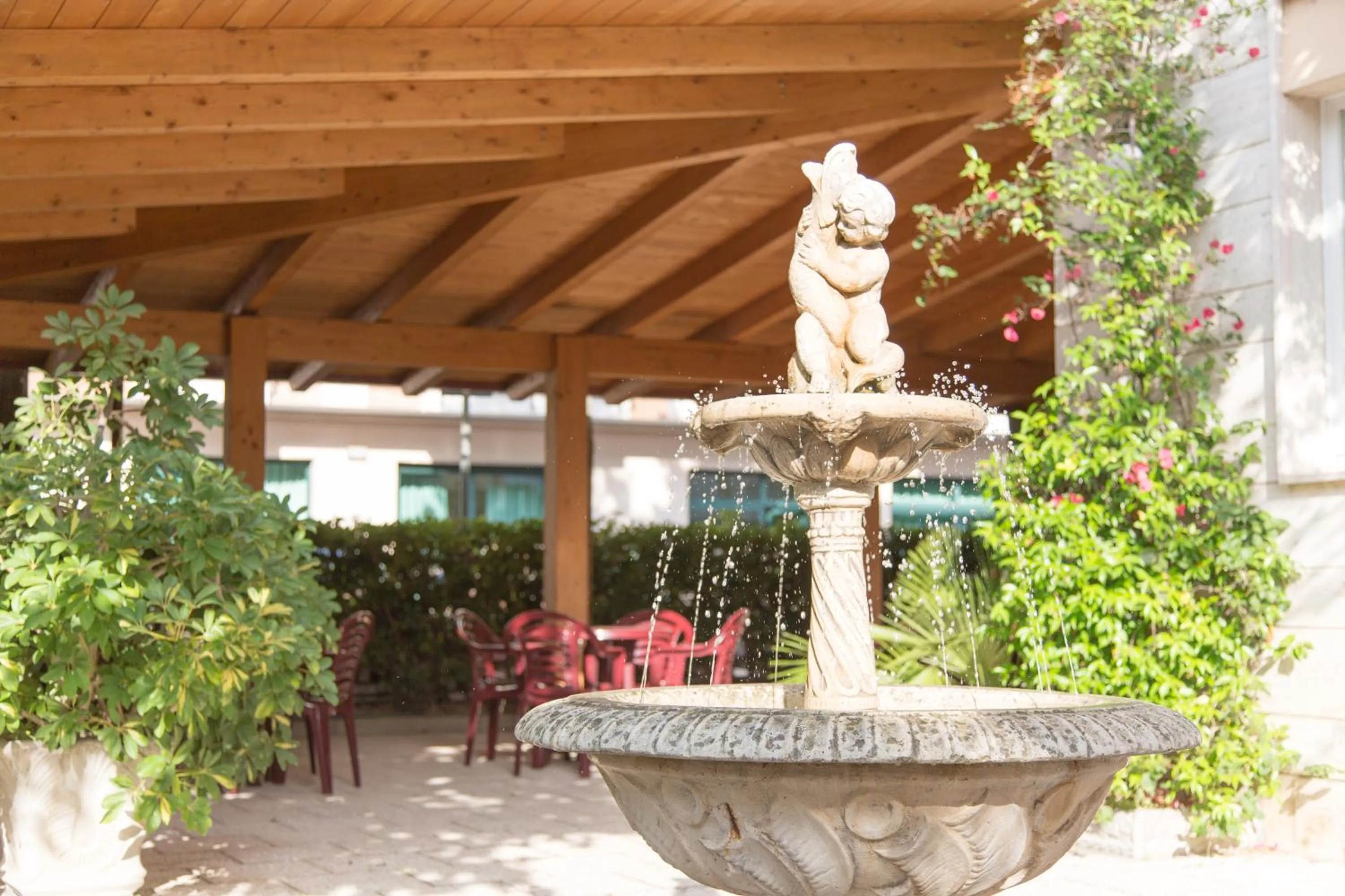 Garden in Hotel Saint Tropez - Pineto