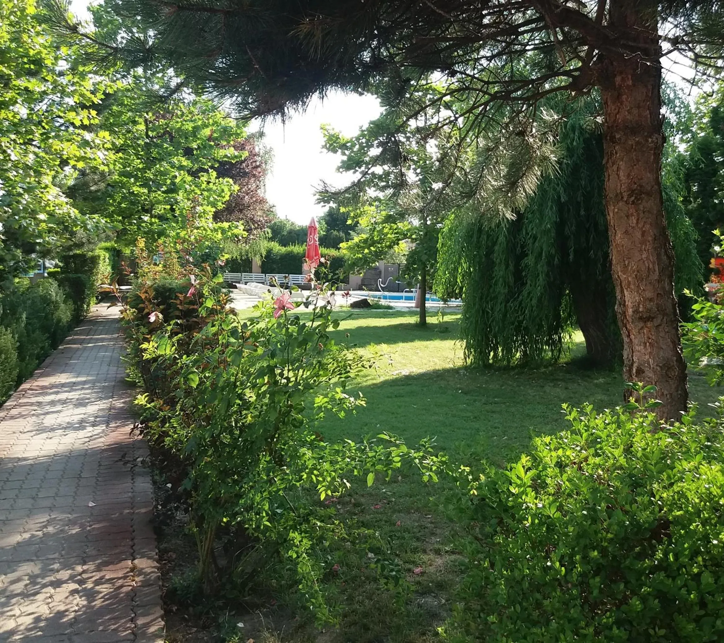 Natural landscape in Oázis Wellness Panzio