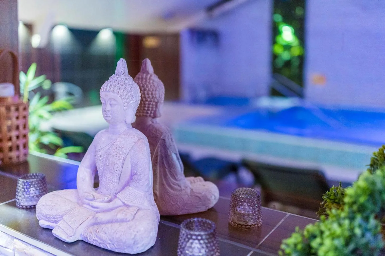 Oázis Wellness Panzio