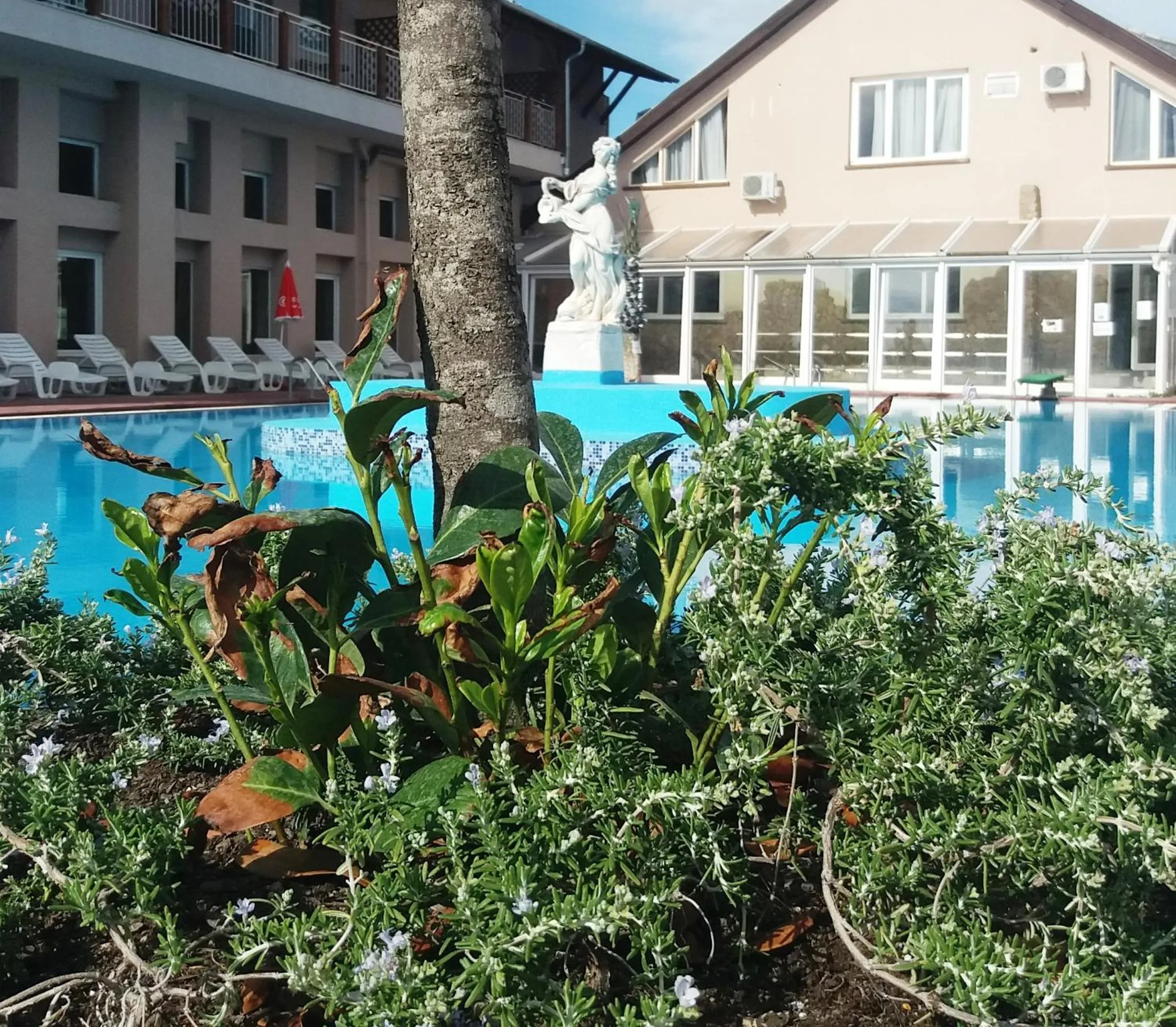 Aqua park in Oázis Wellness Panzio