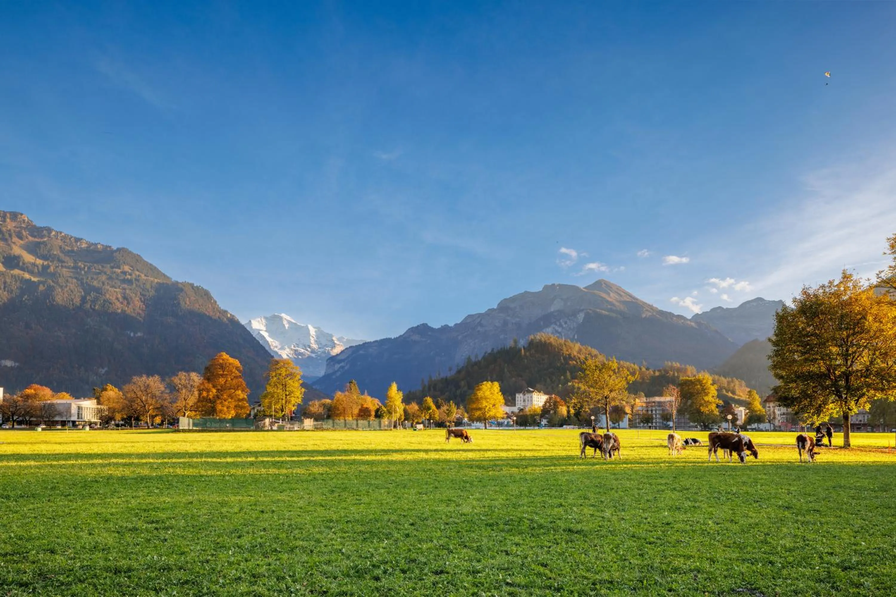 Natural landscape in Hapimag Ferienwohnungen Interlaken