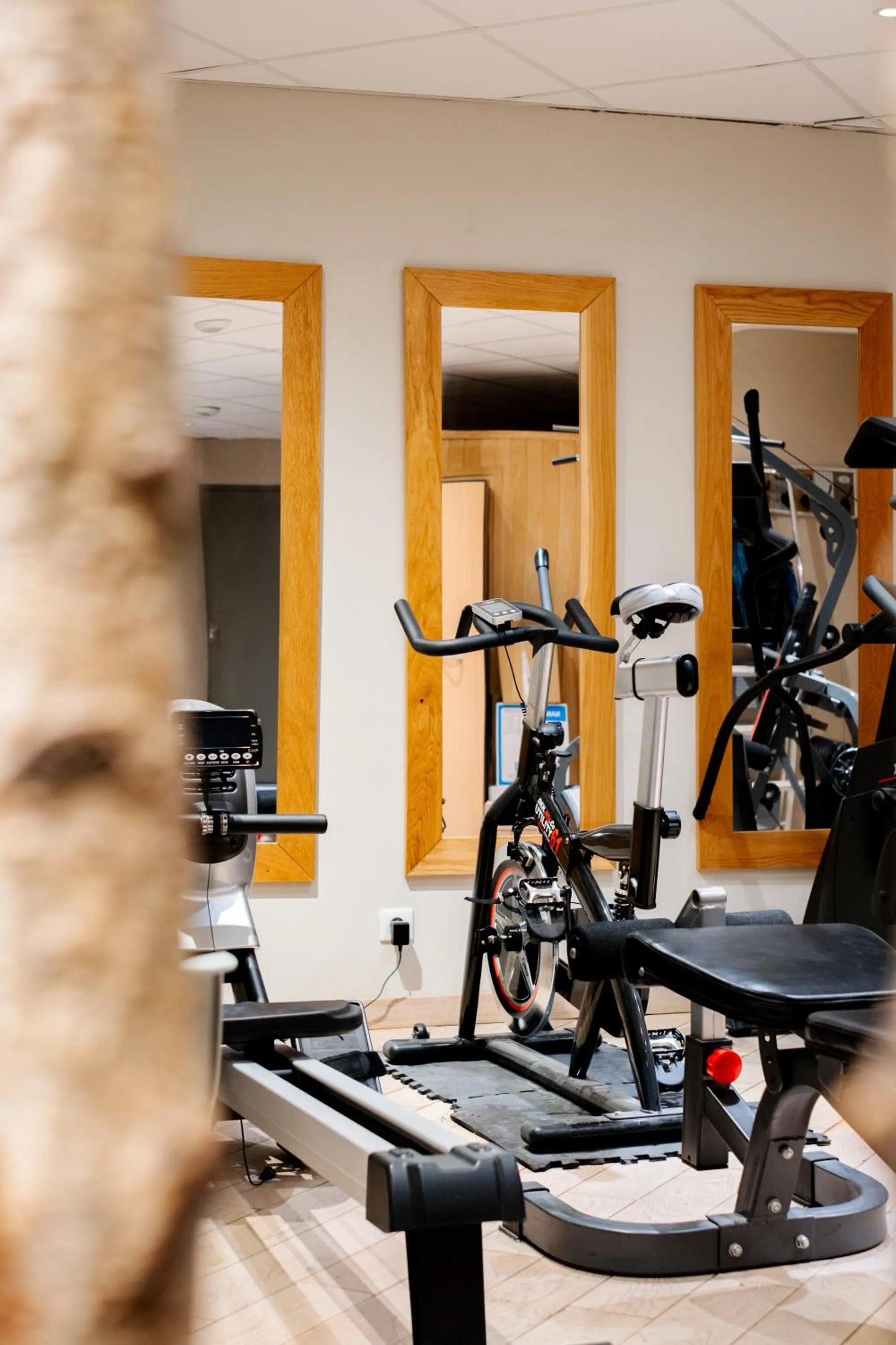 Fitness centre/facilities in Green hotels Confort Paris 13