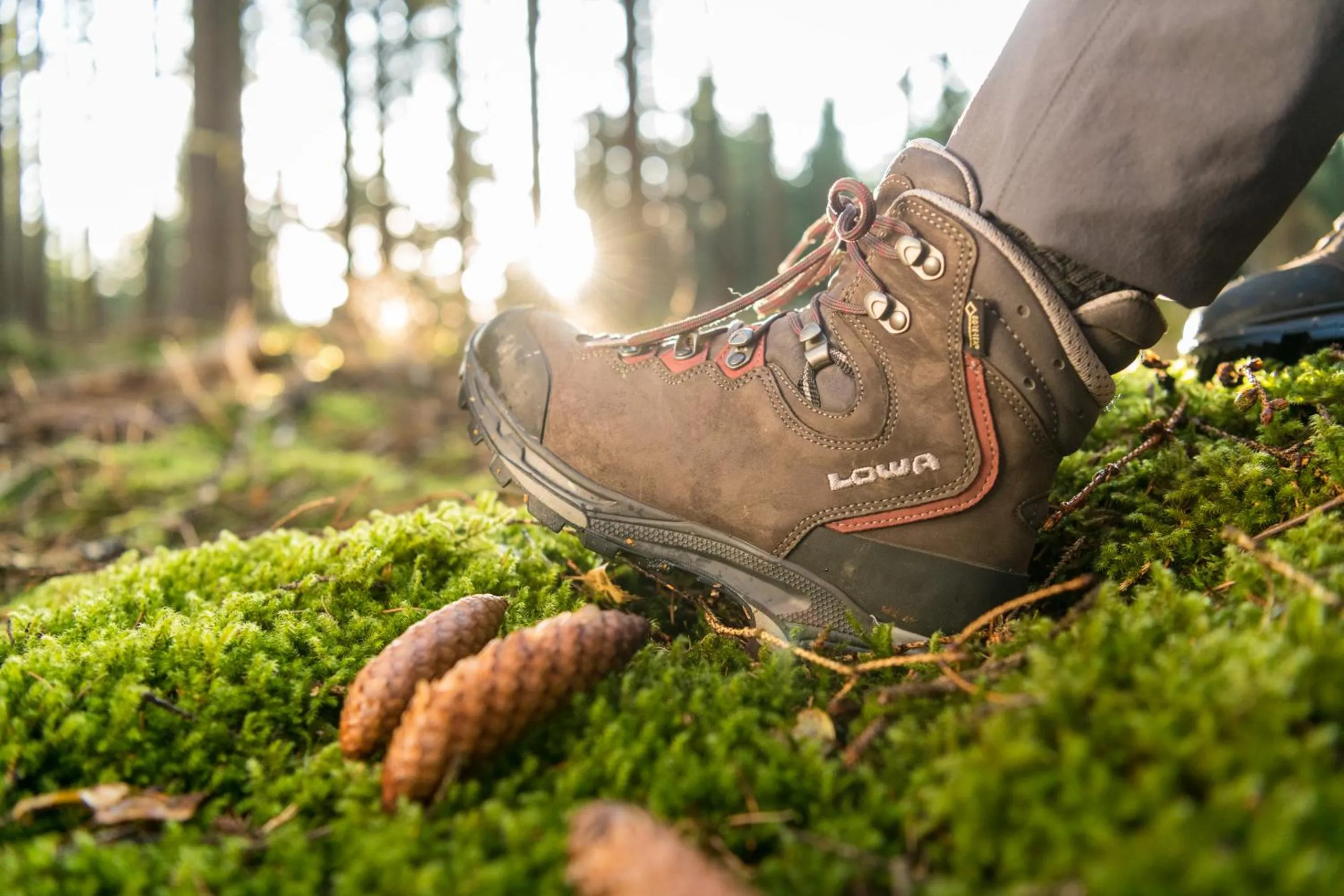 Hiking in Marienhöh - Hideaway & Spa