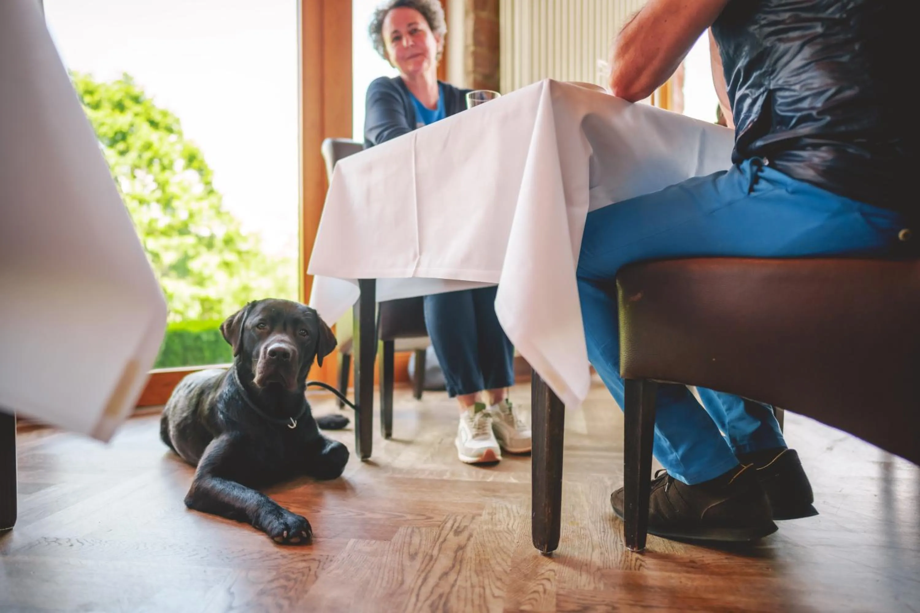 Restaurant/places to eat in Marienhöh - Hideaway & Spa