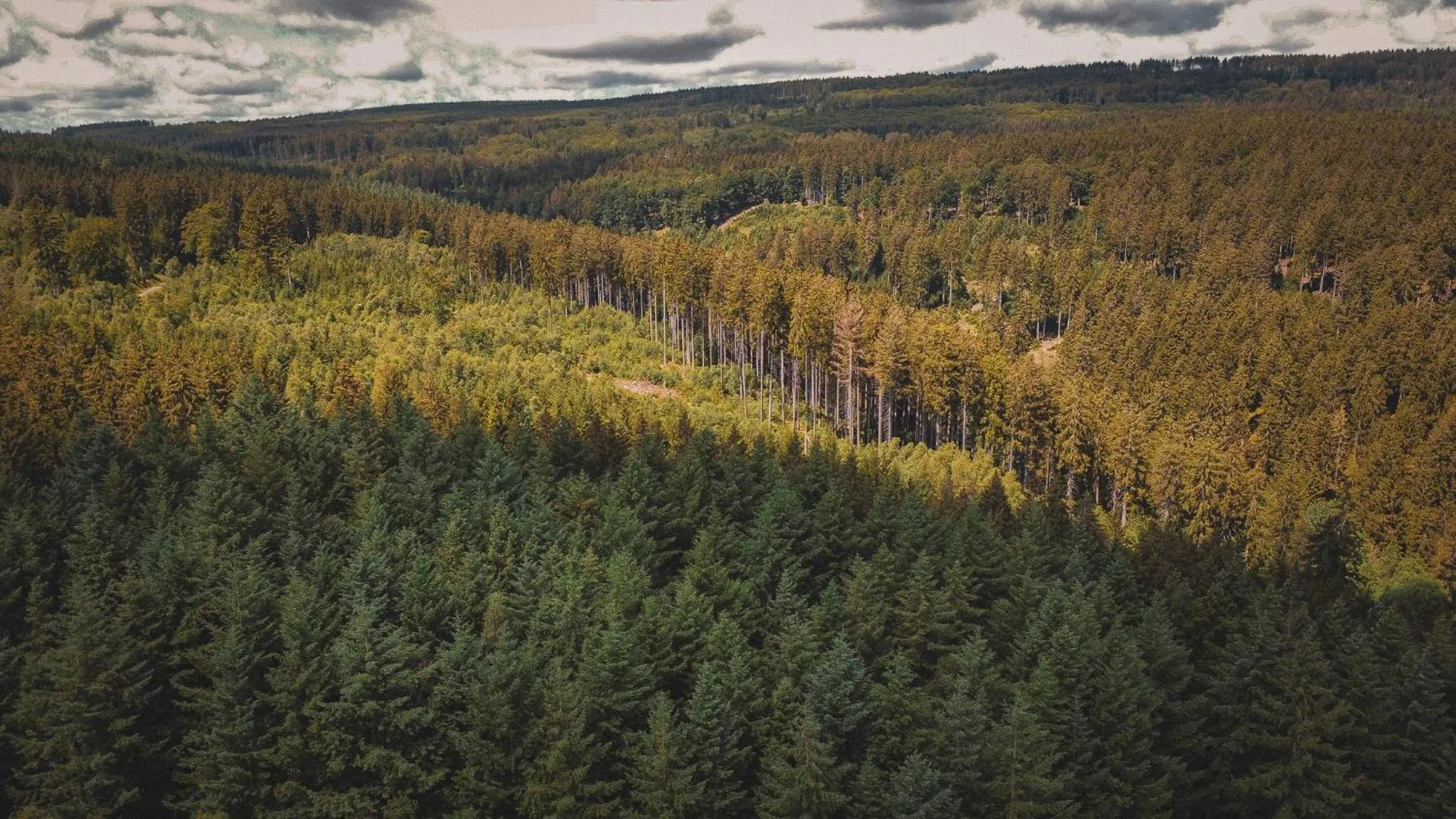 Natural landscape in Marienhöh - Hideaway & Spa