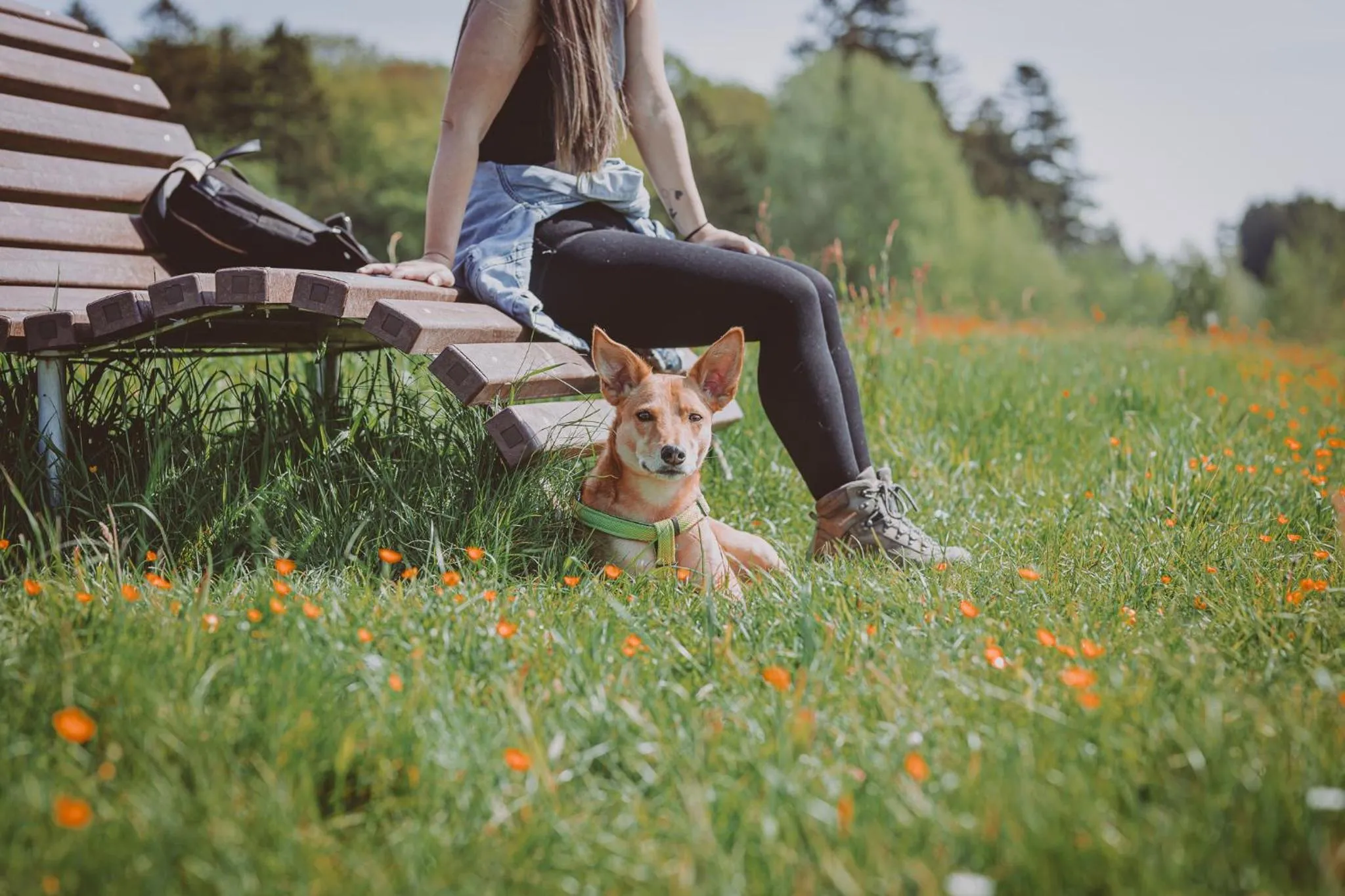 Natural landscape in Marienhöh - Hideaway & Spa