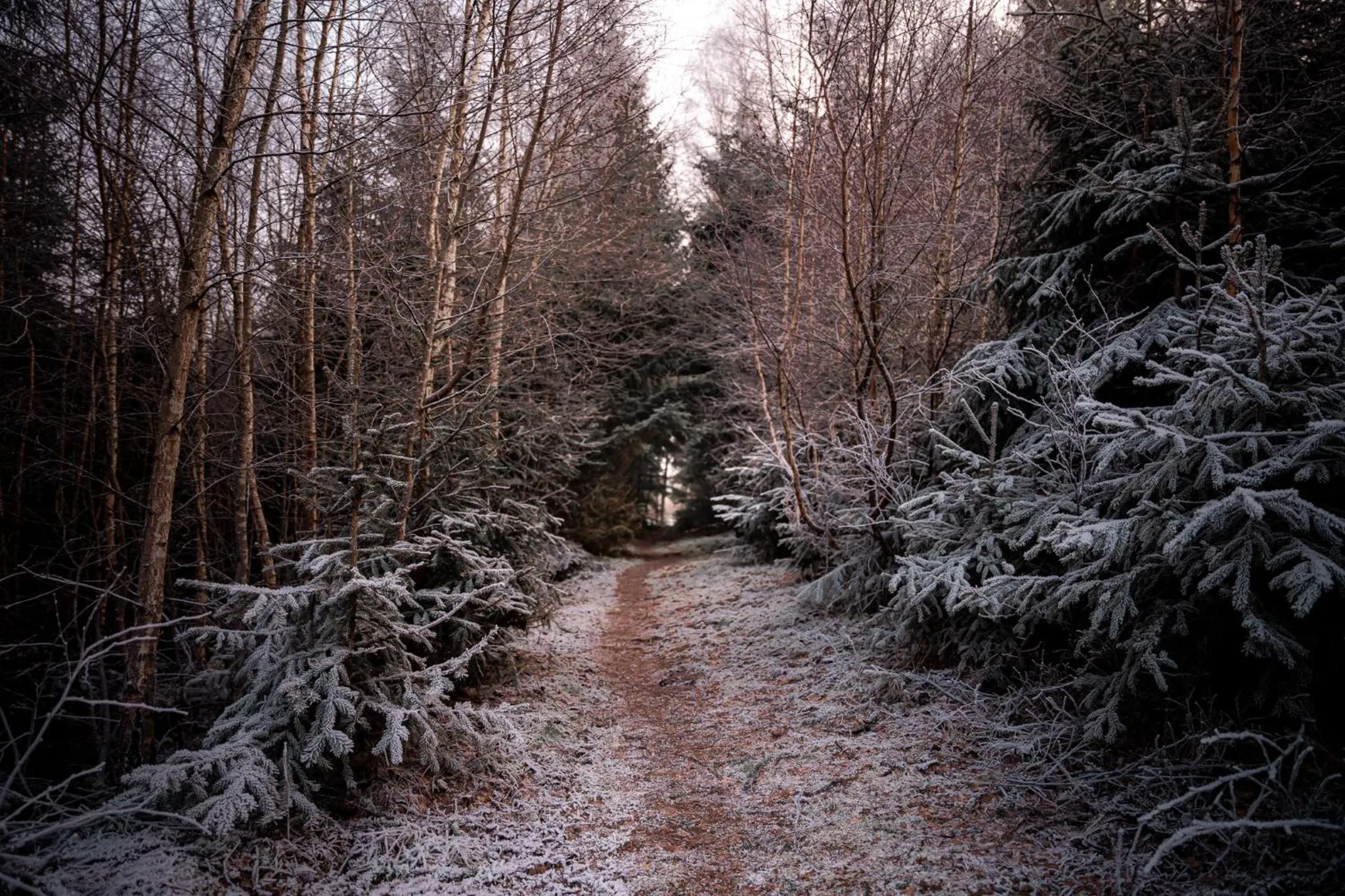 Day in Marienhöh - Hideaway & Spa