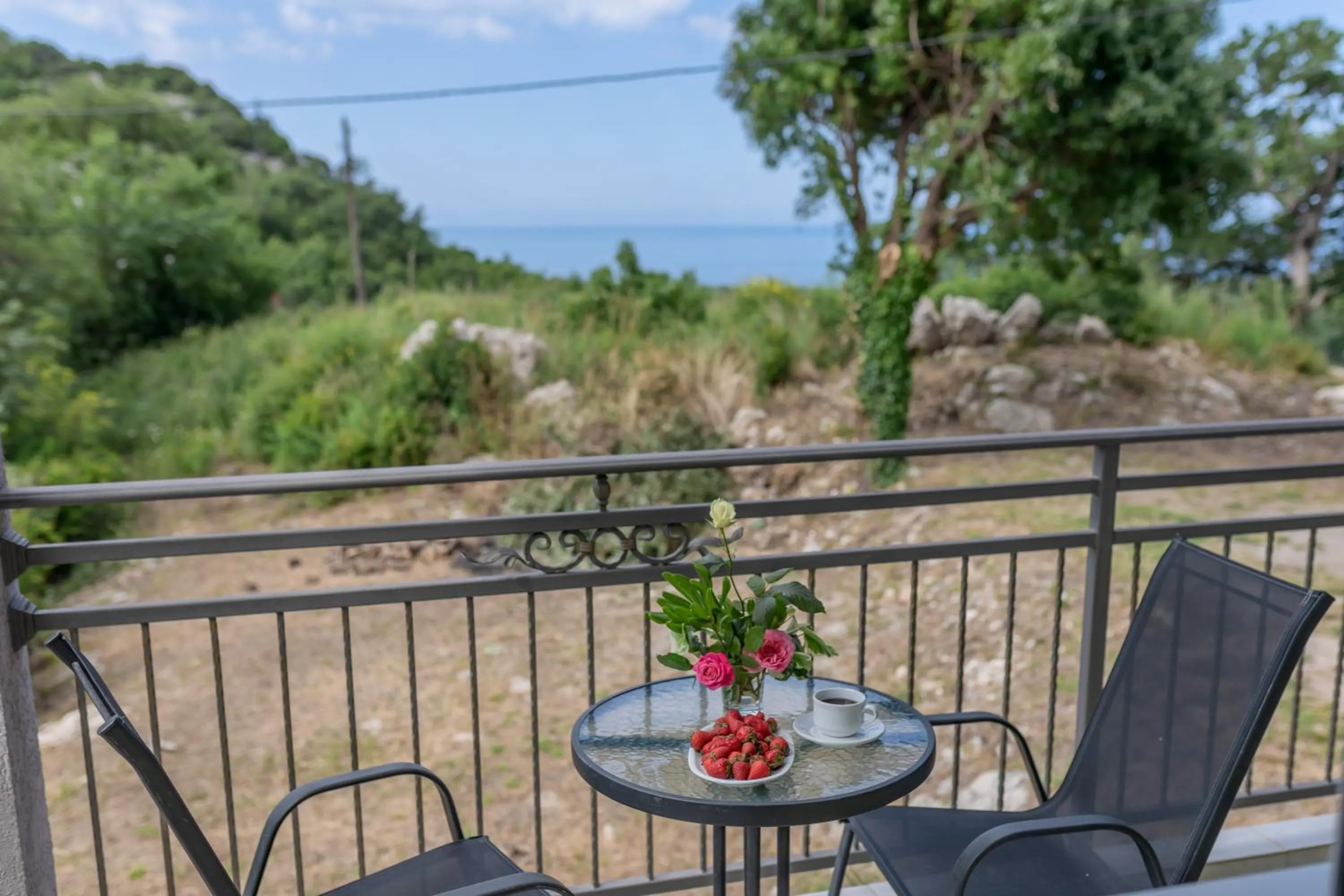 View (from property/room) in Villa Montenegrina