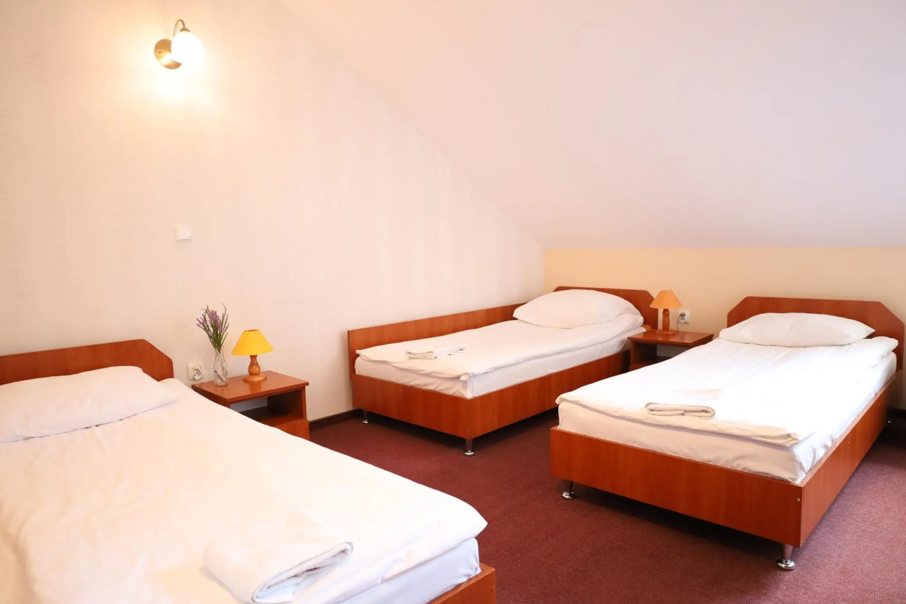 Bed in Zakarczmie Stokrotka