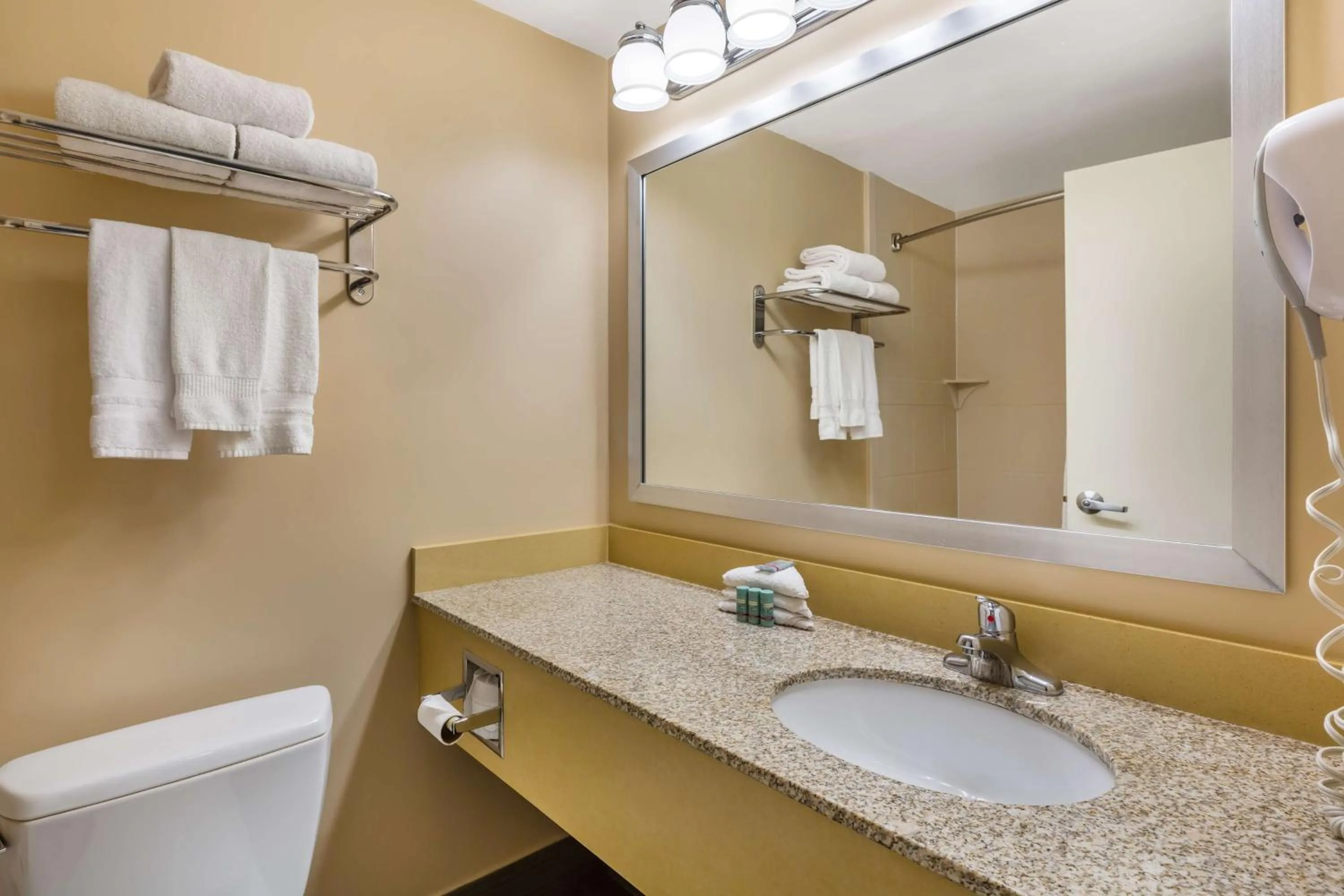 Bathroom in Best Western Braintree Inn