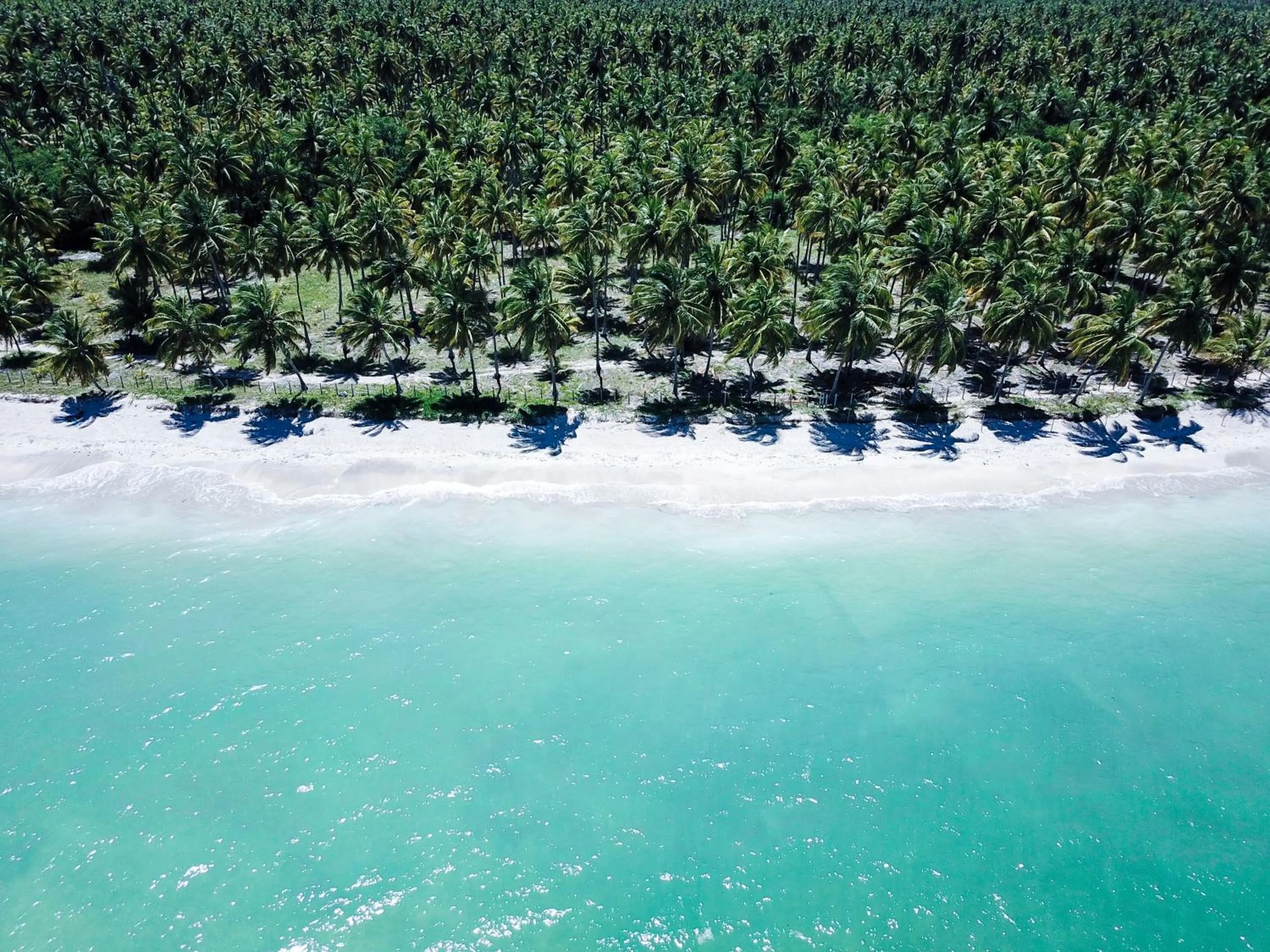 Lindo apartamento, pertinho do mar e com vista