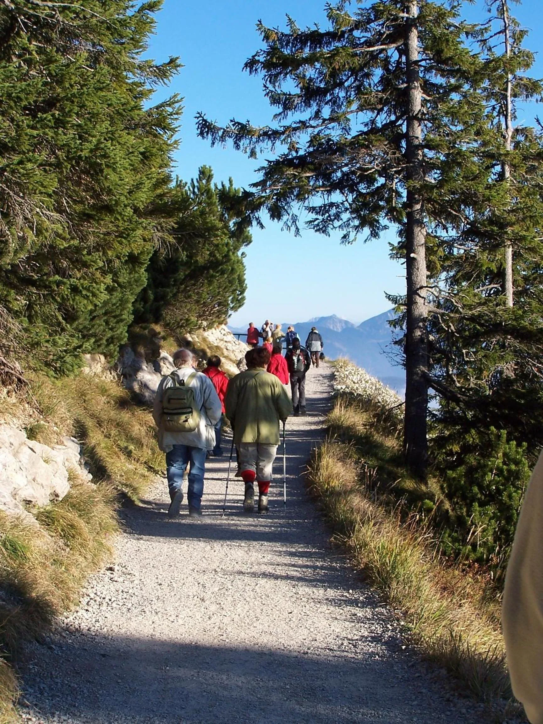 Area and facilities in Hotel Sonnenspitz ***