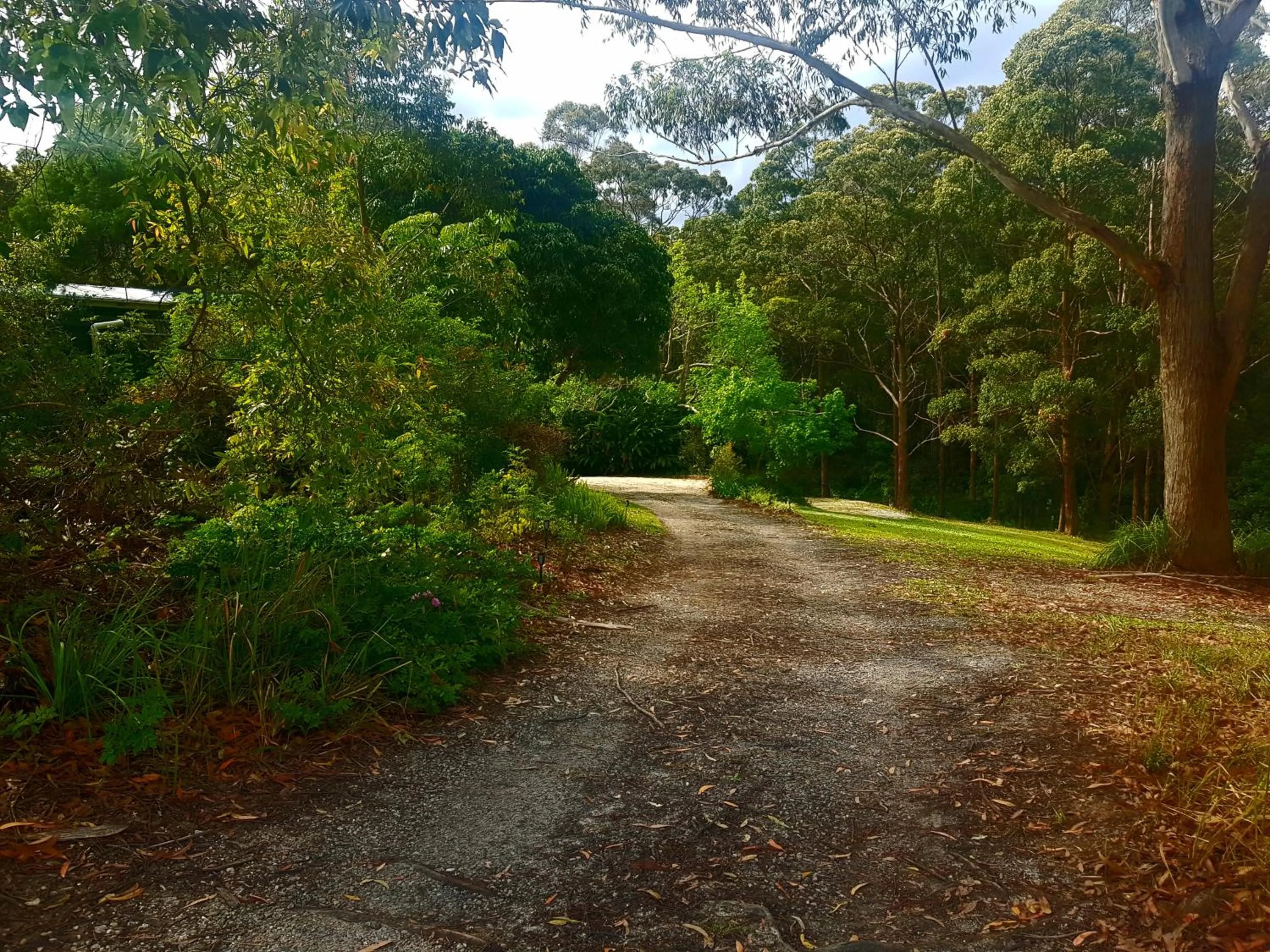 Forest view bungalow