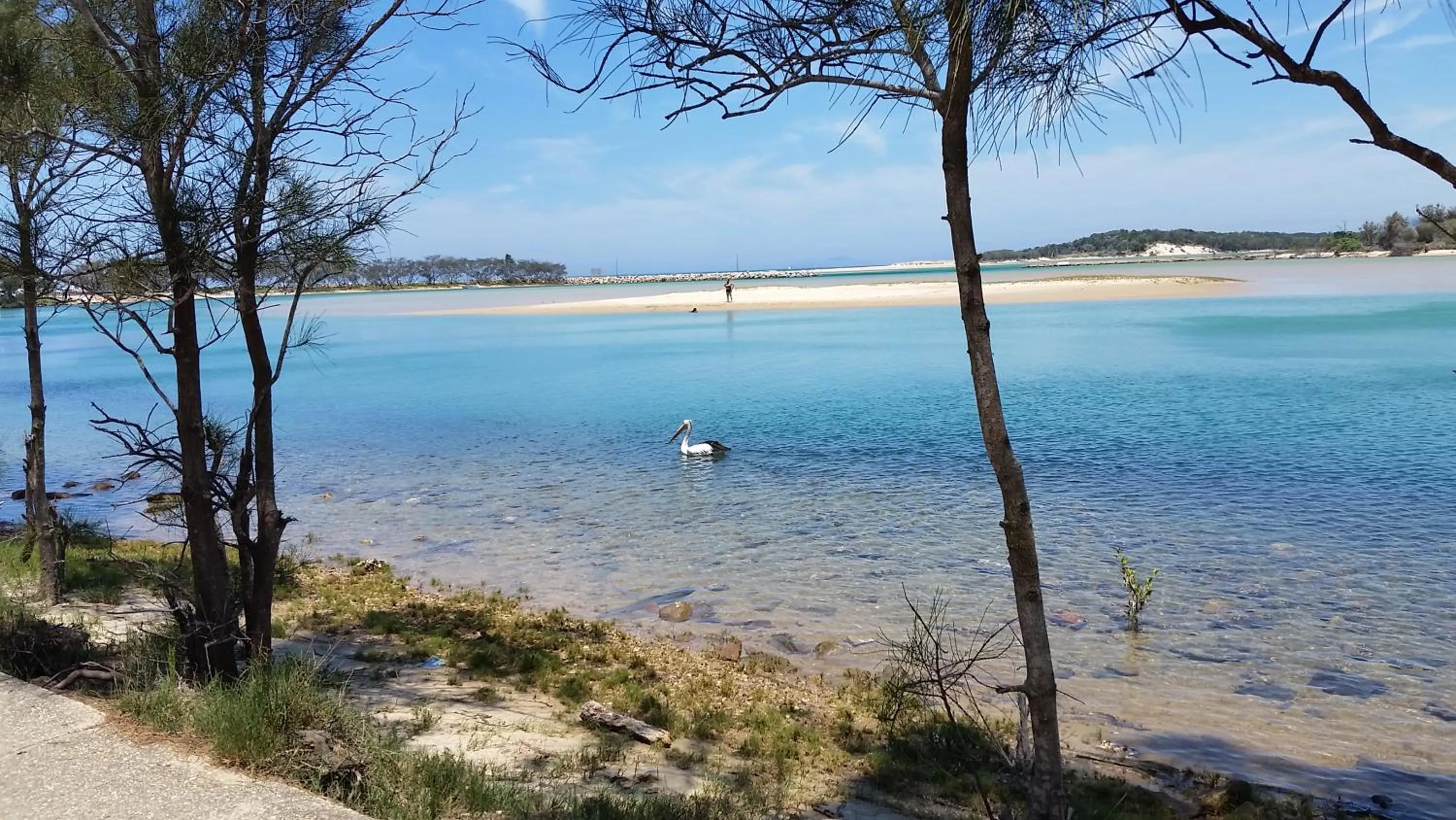 Forest view bungalow