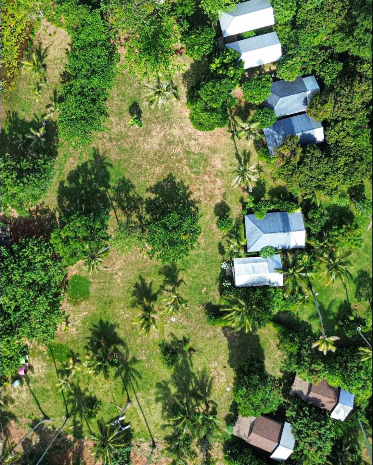 Naivacha Tent Koh Mak