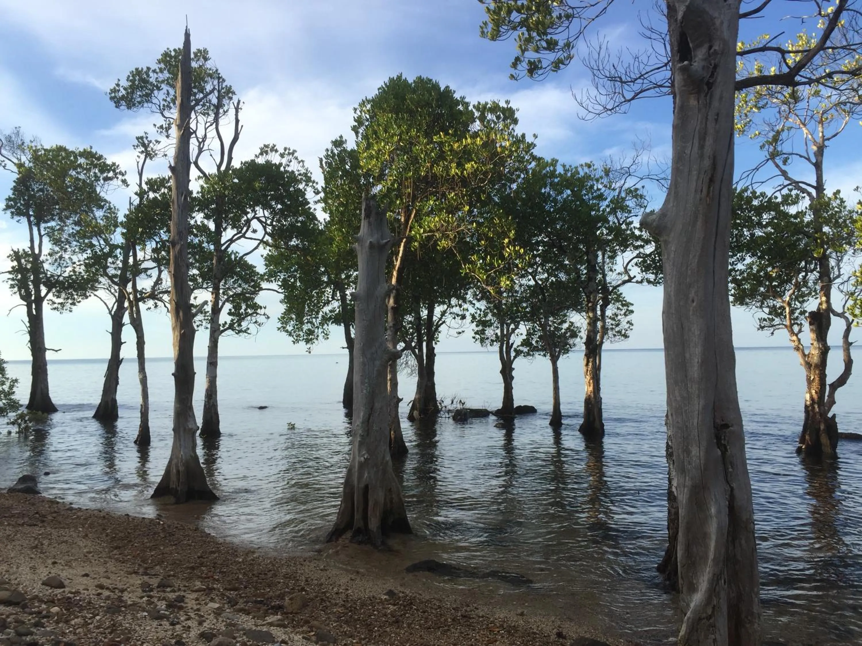 Natural landscape in Naivacha Tent Koh Mak