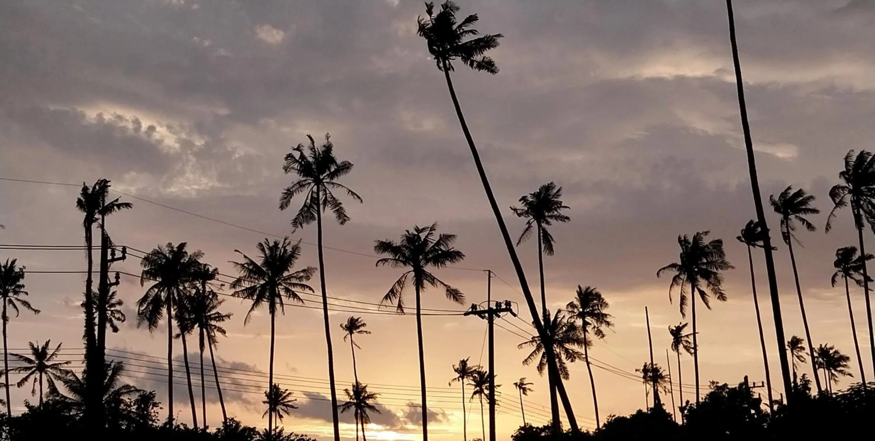 Property building in Naivacha Tent Koh Mak