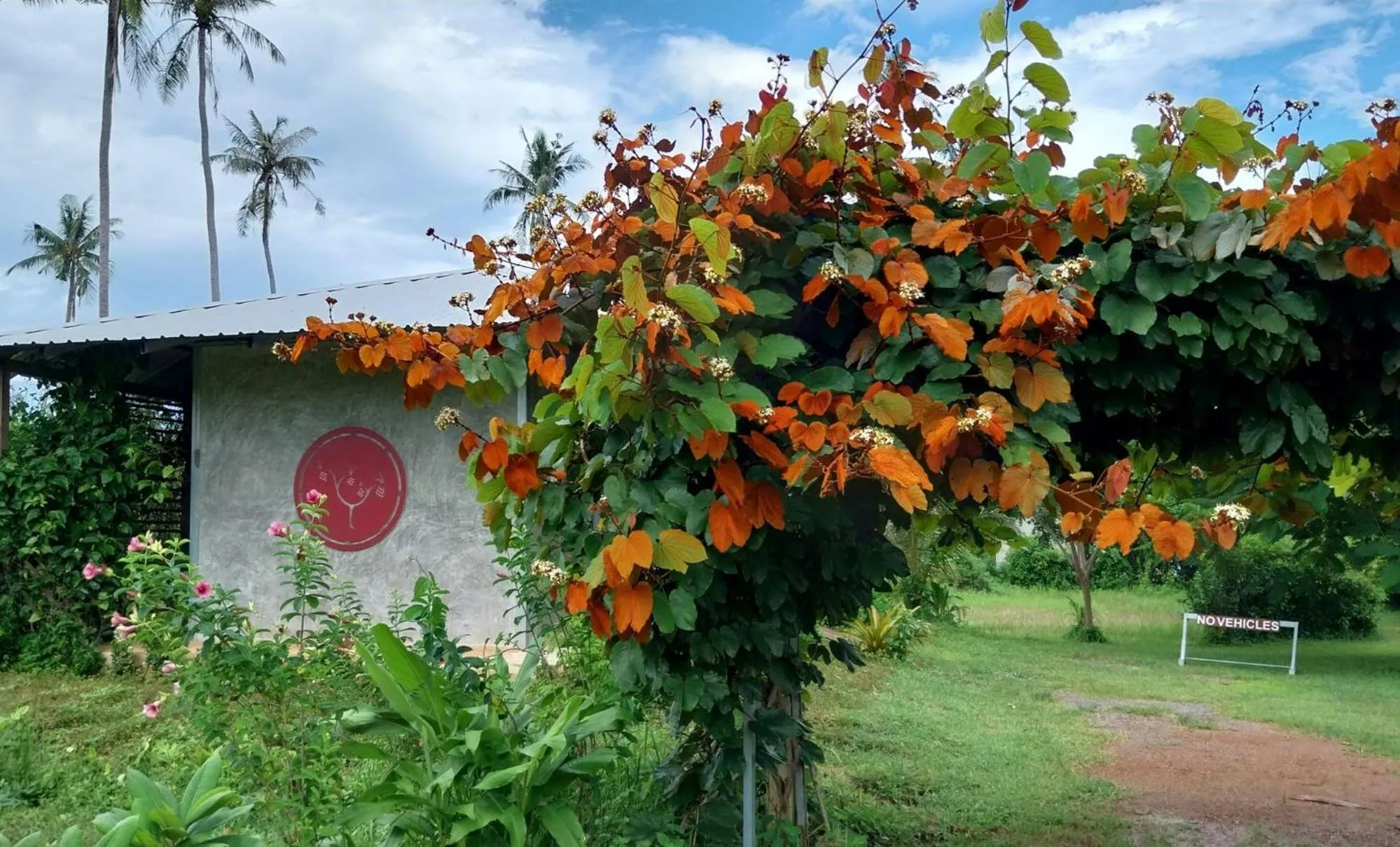 Lobby or reception in Naivacha Tent Koh Mak