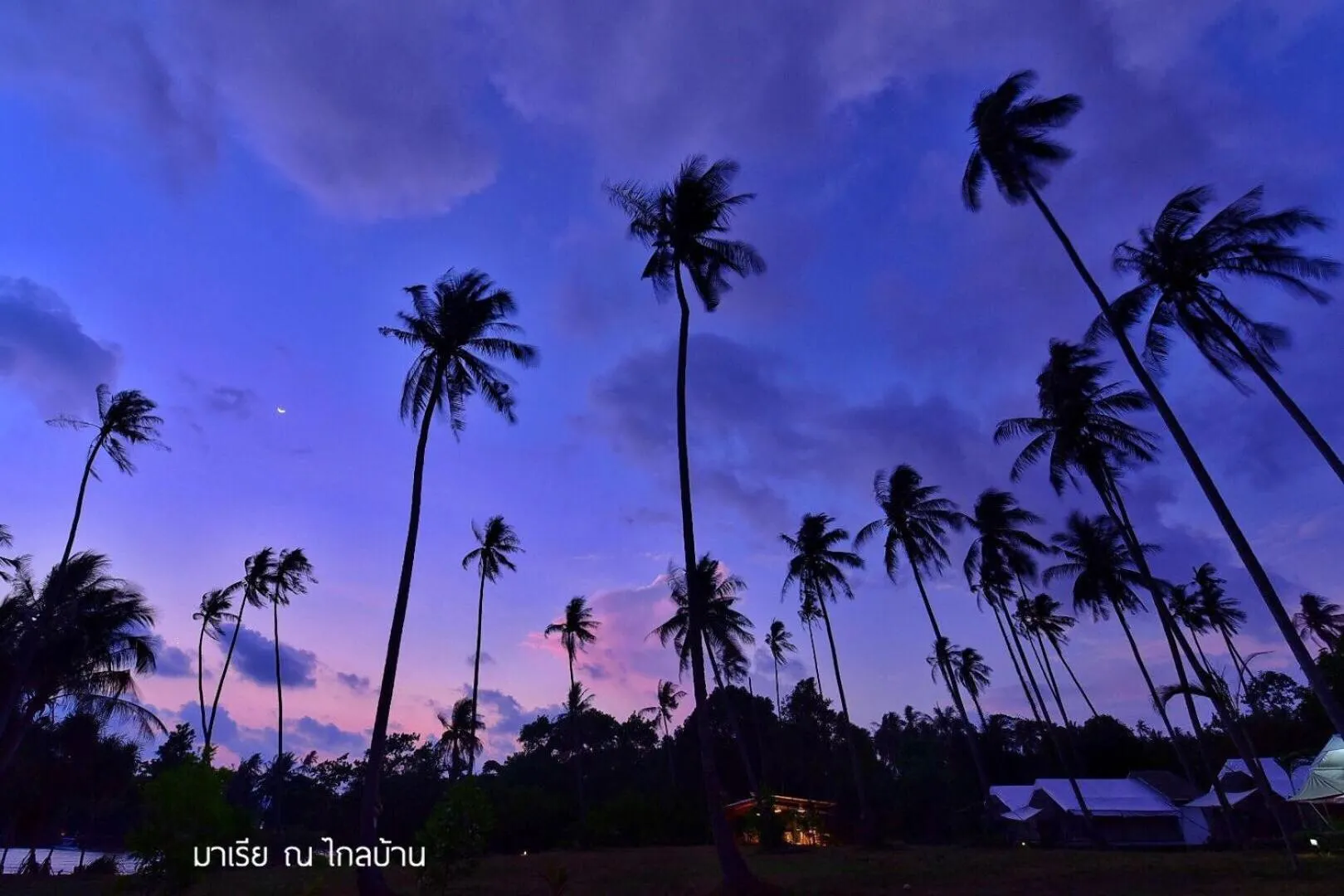 Sunset in Naivacha Tent Koh Mak