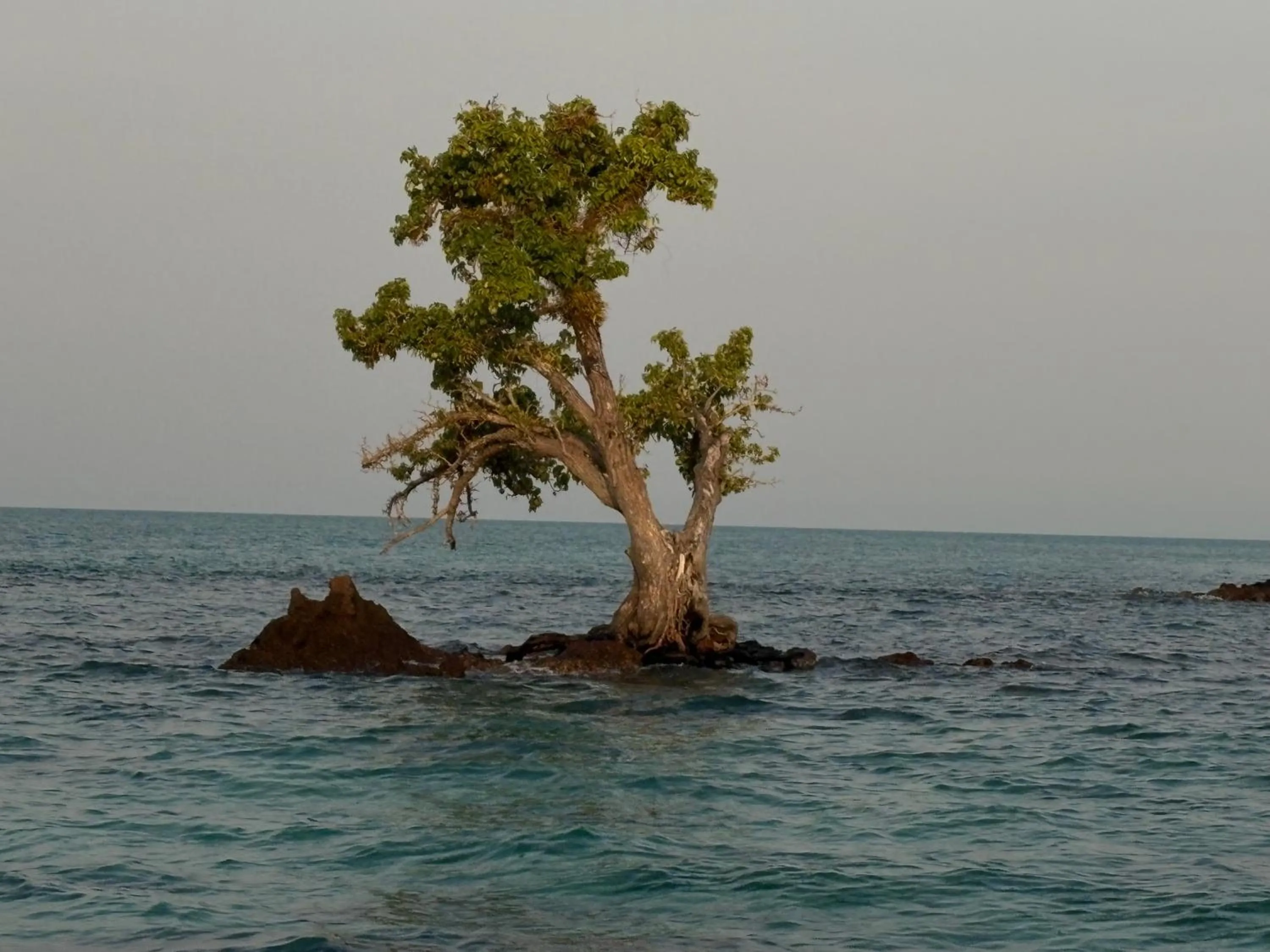 Naivacha Tent Koh Mak