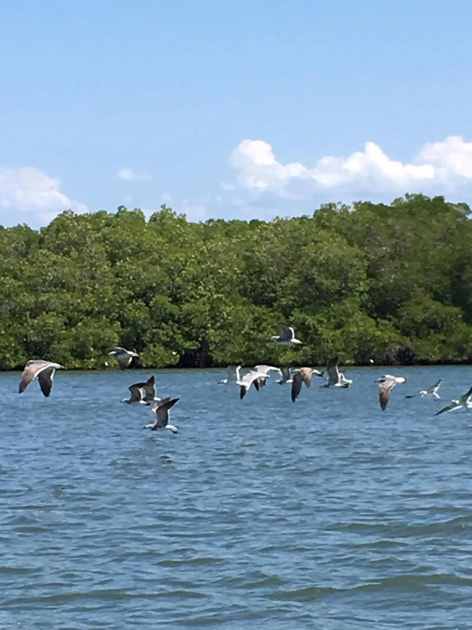 Beach in Villa Maria Bed and Breakfast