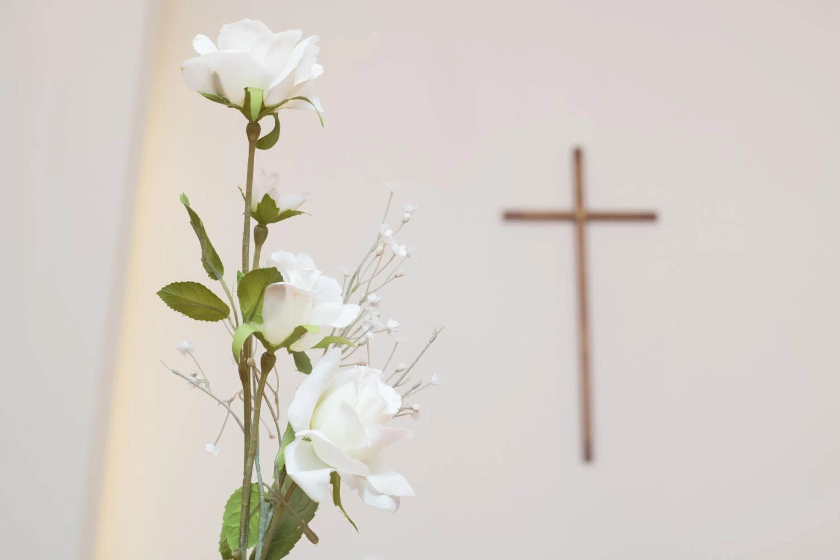 Area and facilities in Tabist Katahara Resort Gamagori