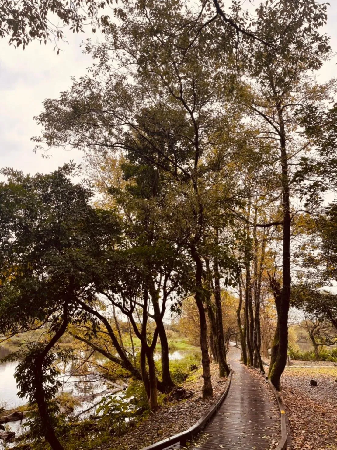 Natural landscape in Early Summer