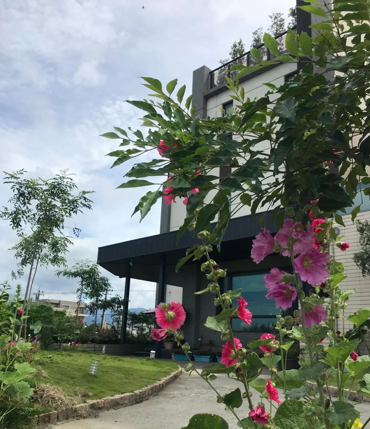 Facade/entrance in Early Summer