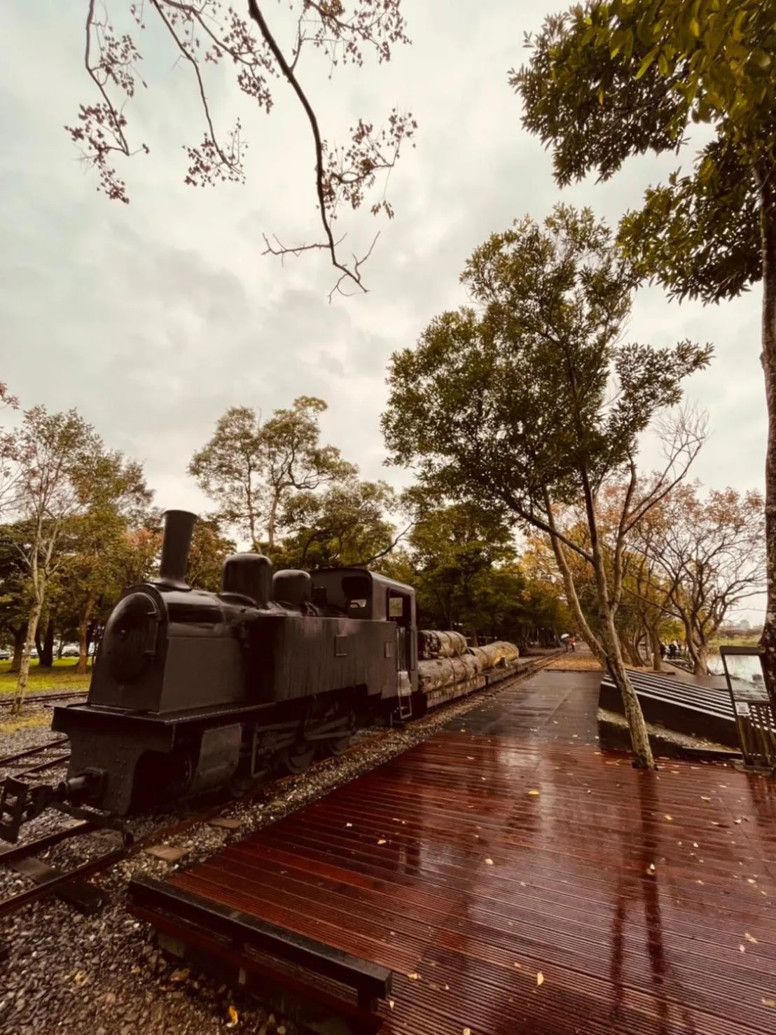 Natural landscape in Early Summer