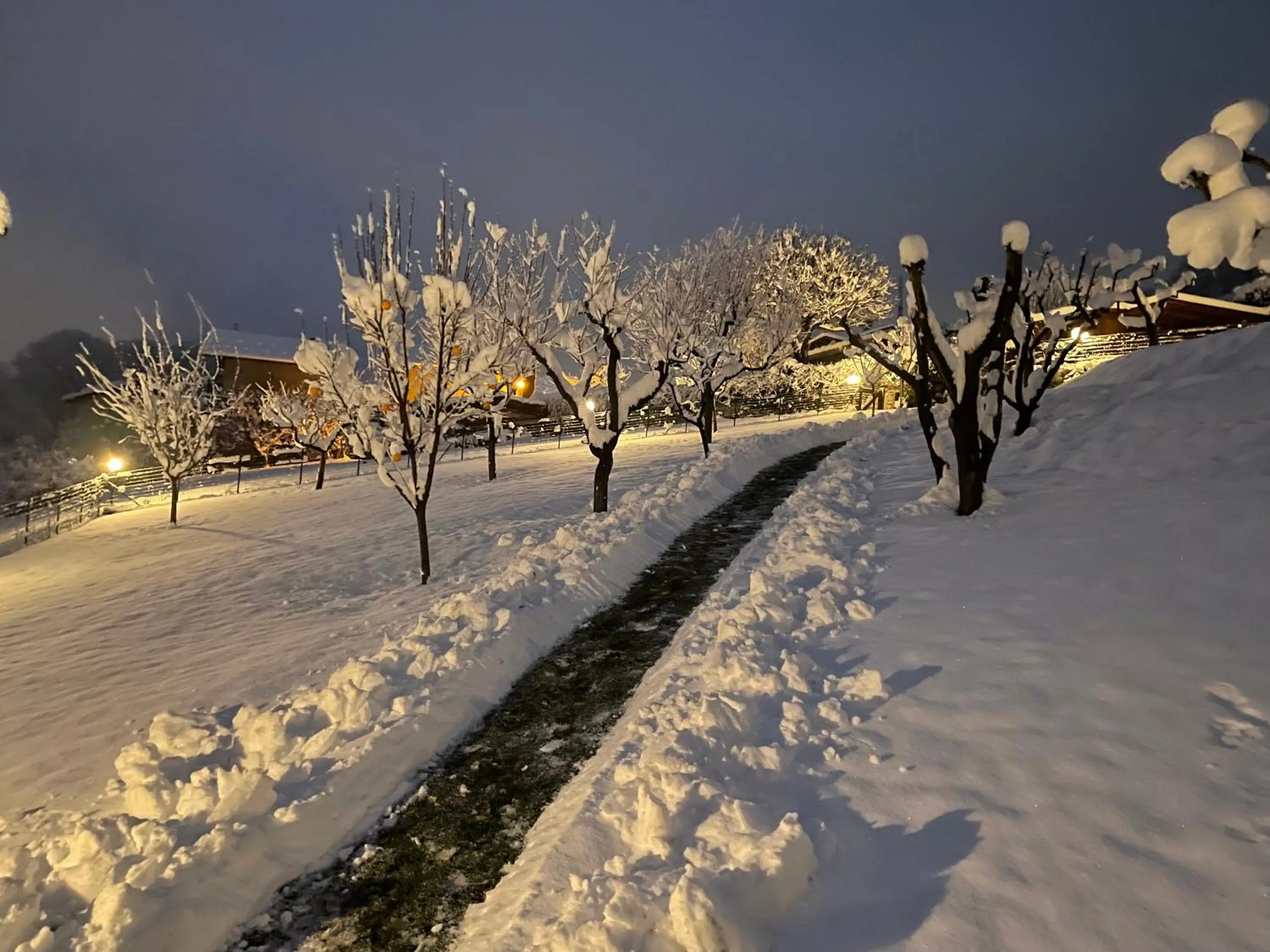 Swimming pool in L'armonia della natura