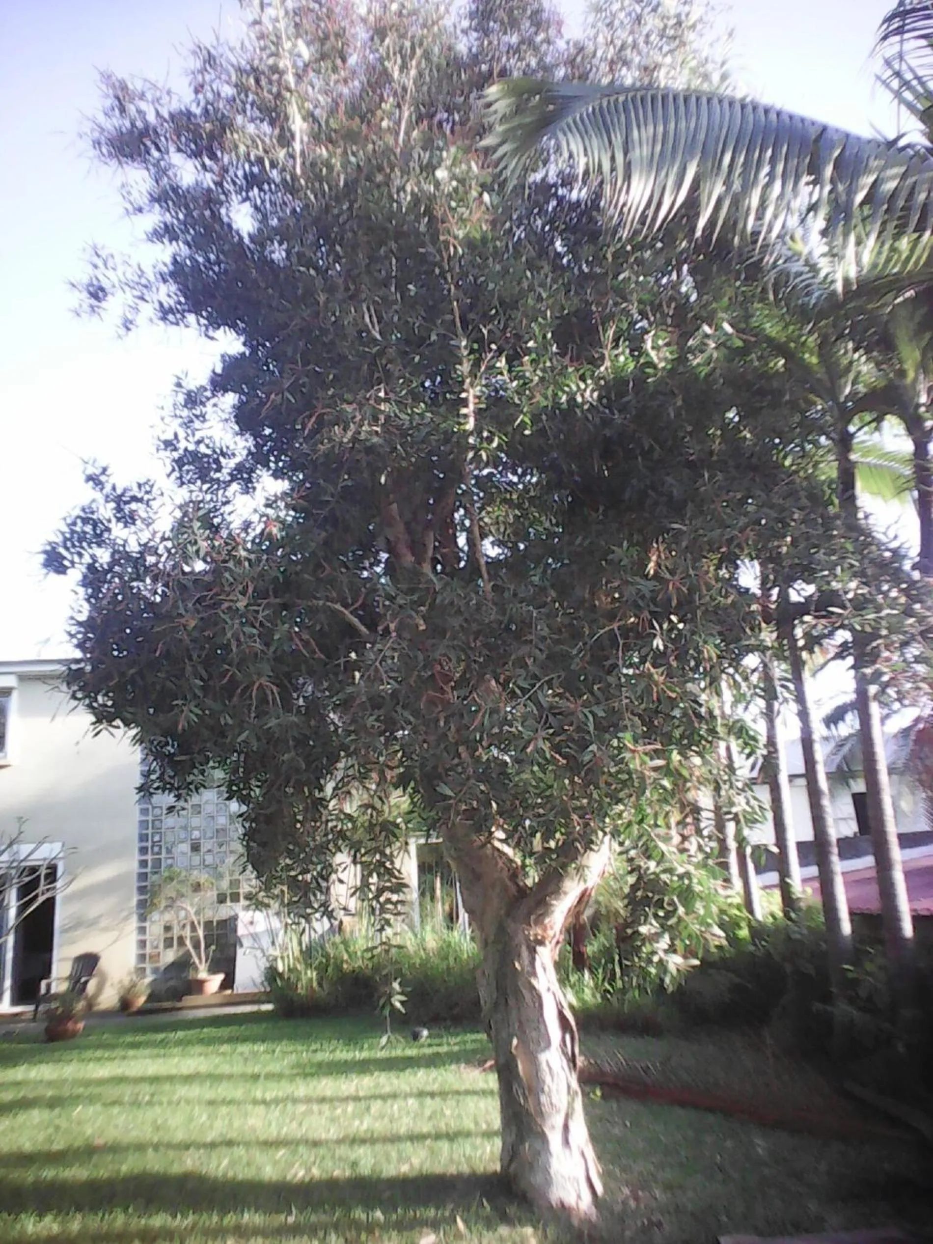 Property building in Villa Niagara avec Spa