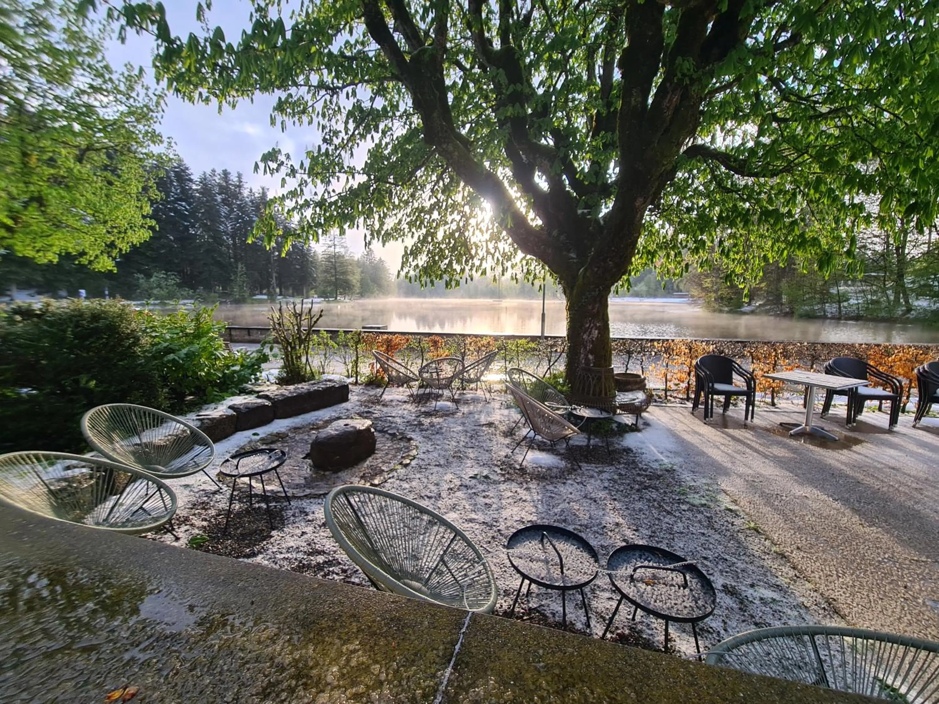 Restaurant/places to eat in Hotel Waldsee