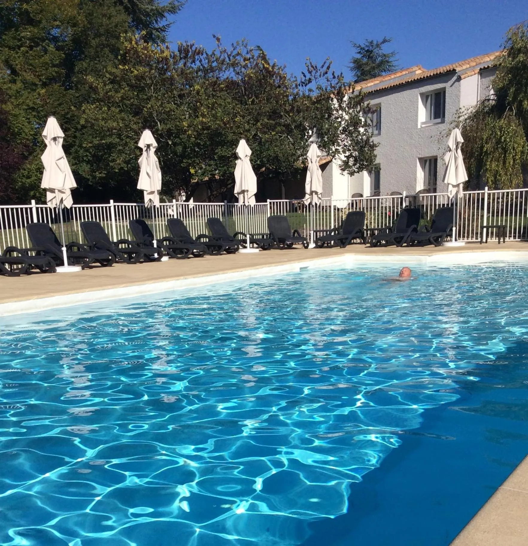 Pool view in Logis LE RABELAIS Hôtel- Restaurant - SPA