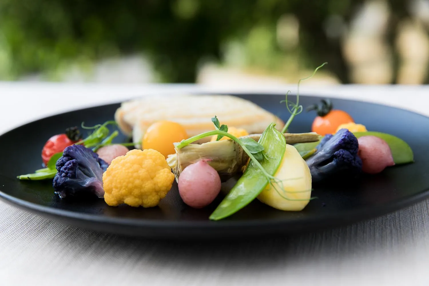 Logis LE RABELAIS Hôtel- Restaurant - SPA