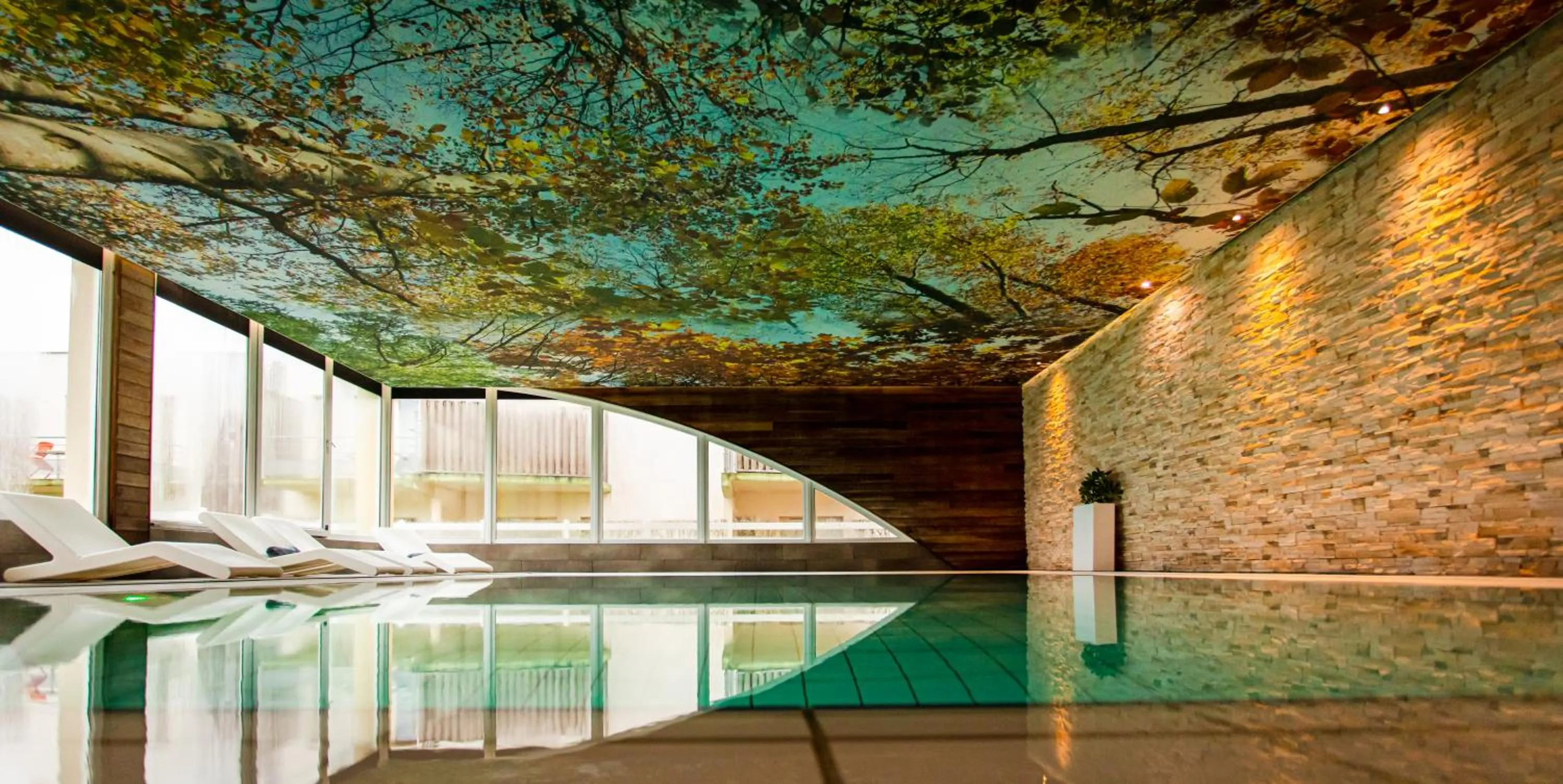 Swimming pool in L'Orée du Bois