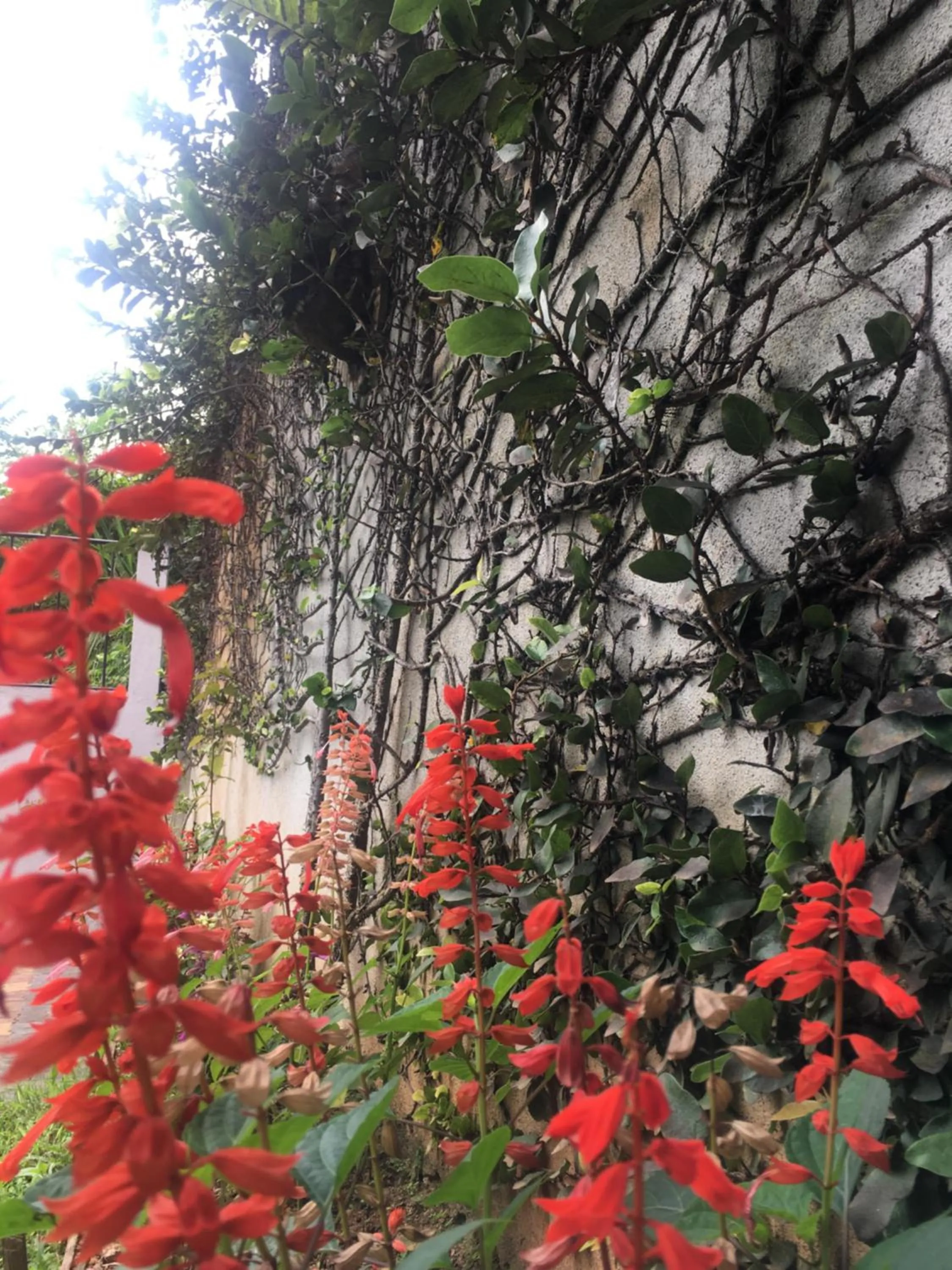 Balcony/Terrace in Villa Familia