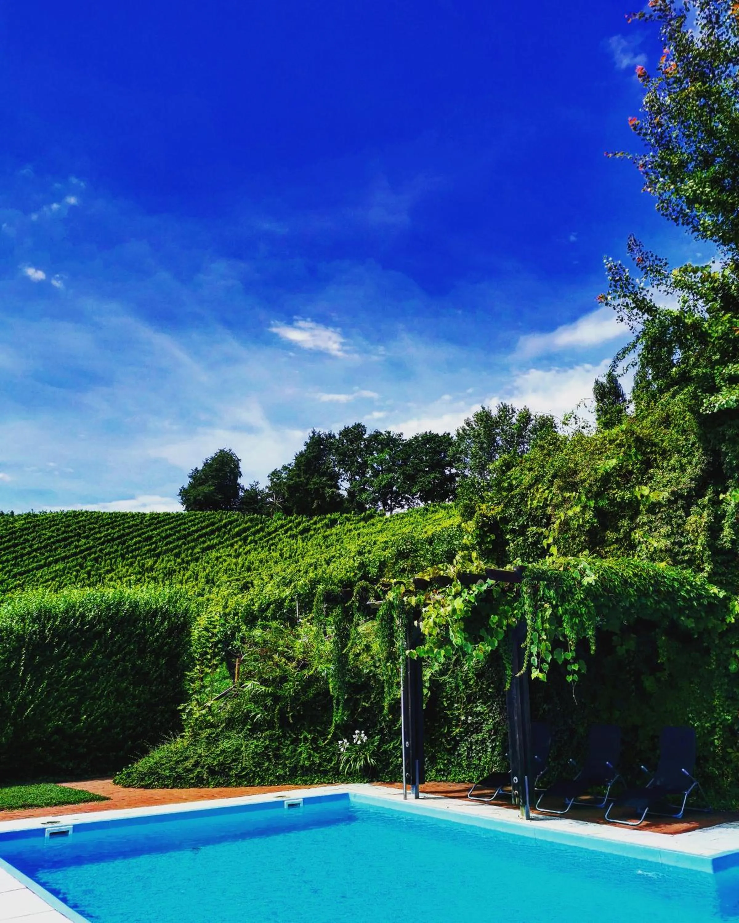 Swimming pool in Sattlerhof Genießerhotel & Weingut