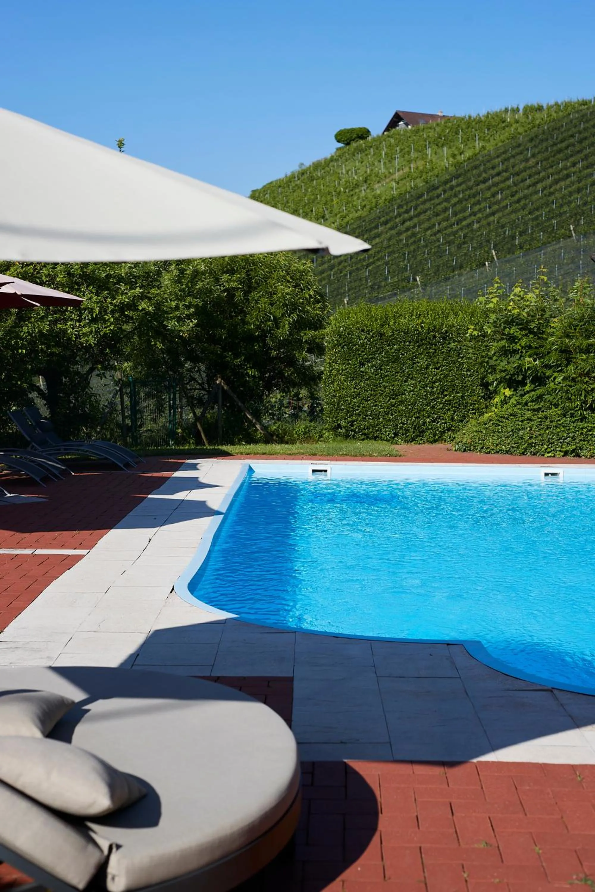 Swimming pool in Sattlerhof Genießerhotel & Weingut