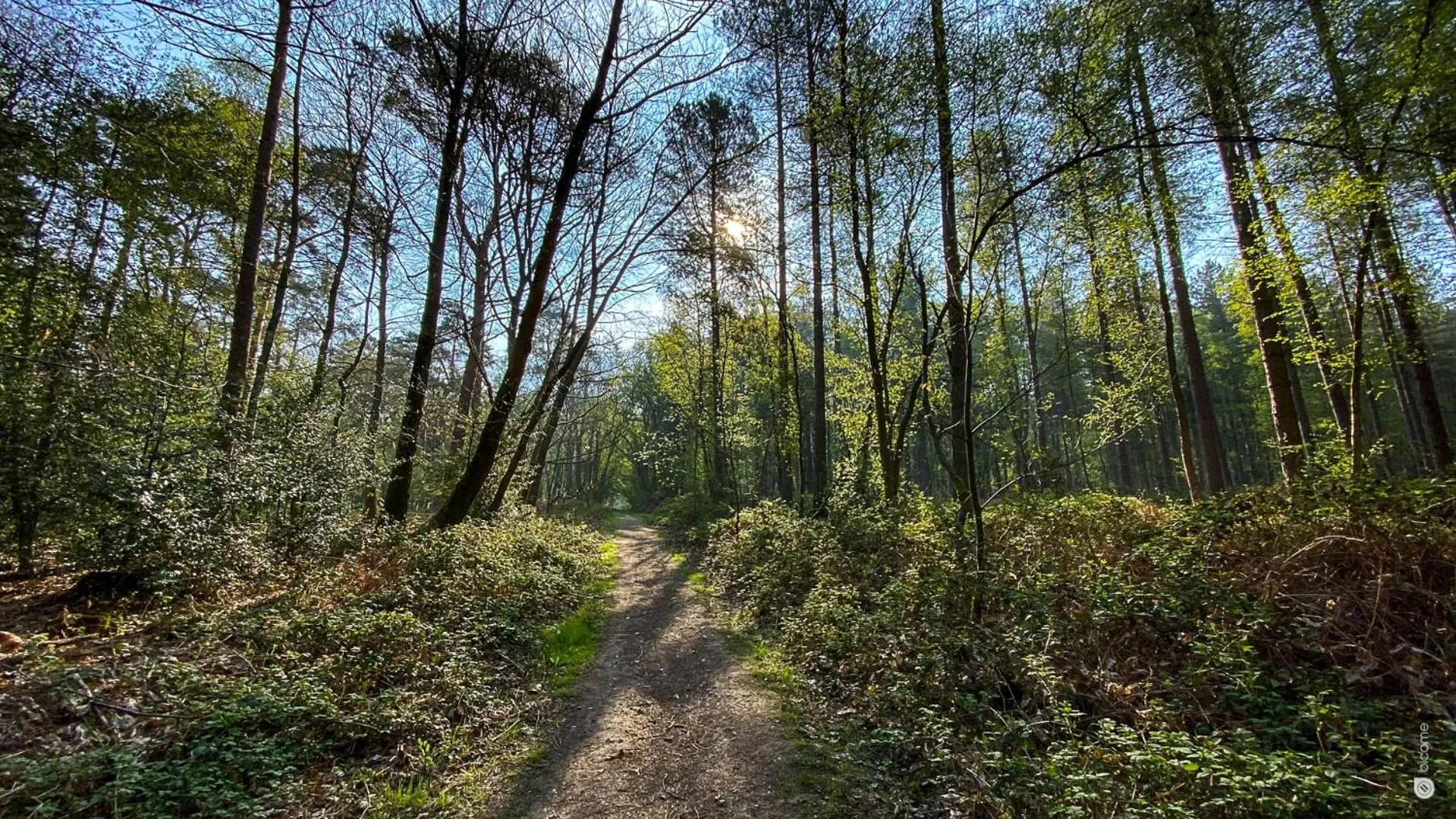 Natural landscape in Logis Hôtel & Restaurant - Le Relais de Montigny